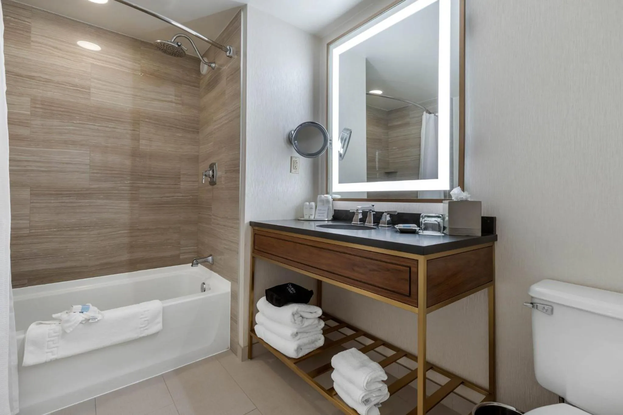 Premier Room - 1 Queen Bed in Omni Richmond Hotel