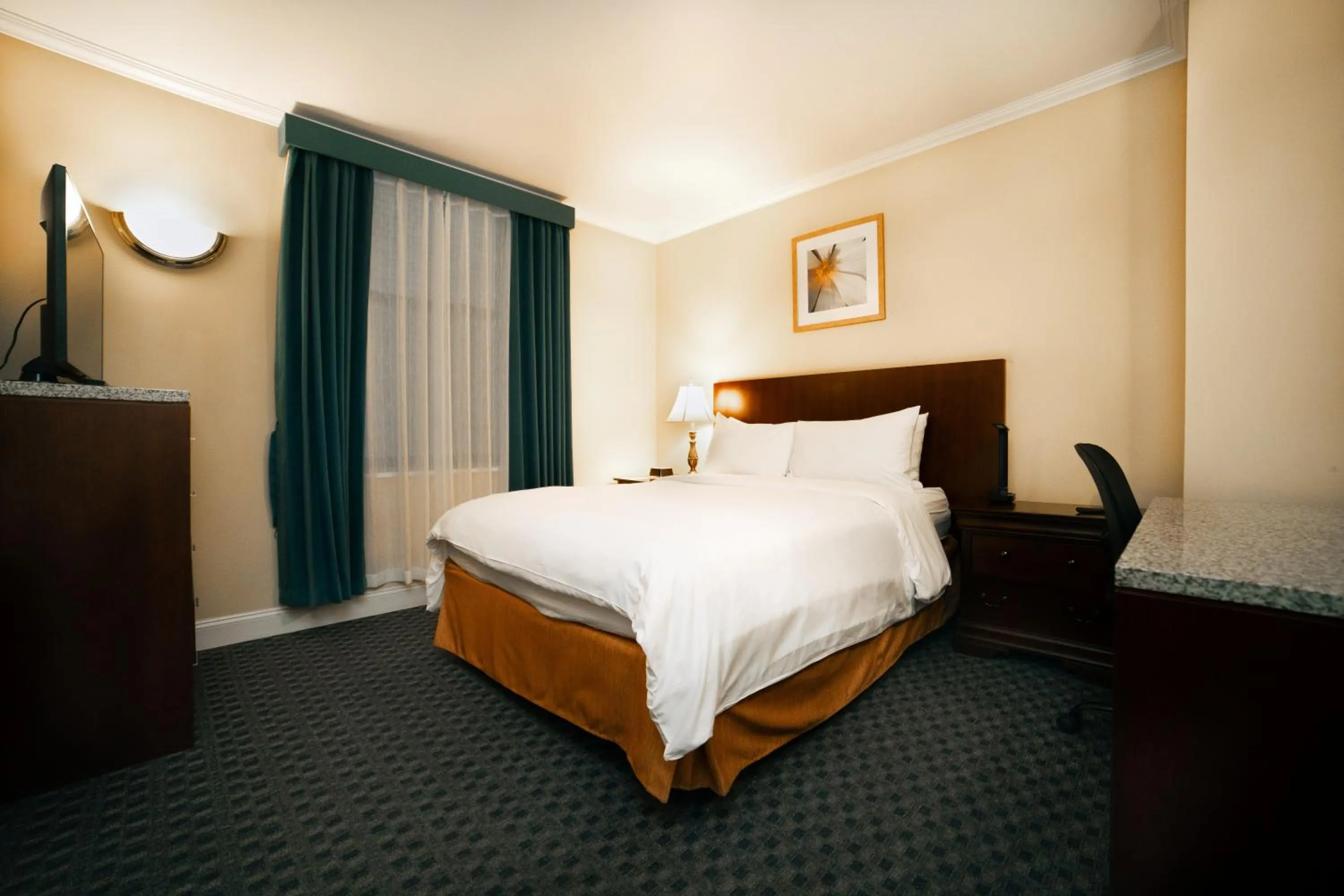 Superior Queen Room in Hotel Stanford