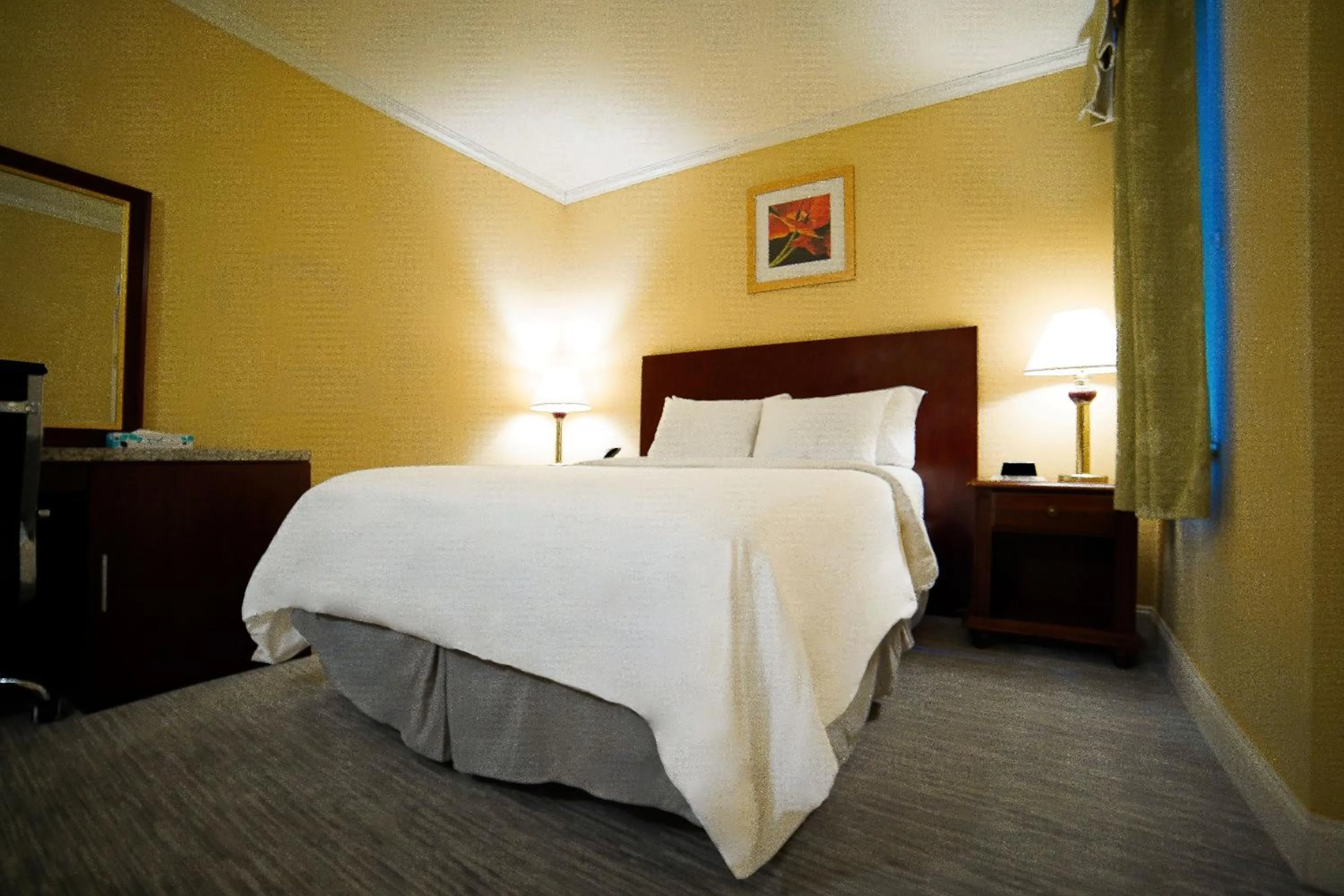 Deluxe Queen Room in Hotel Stanford