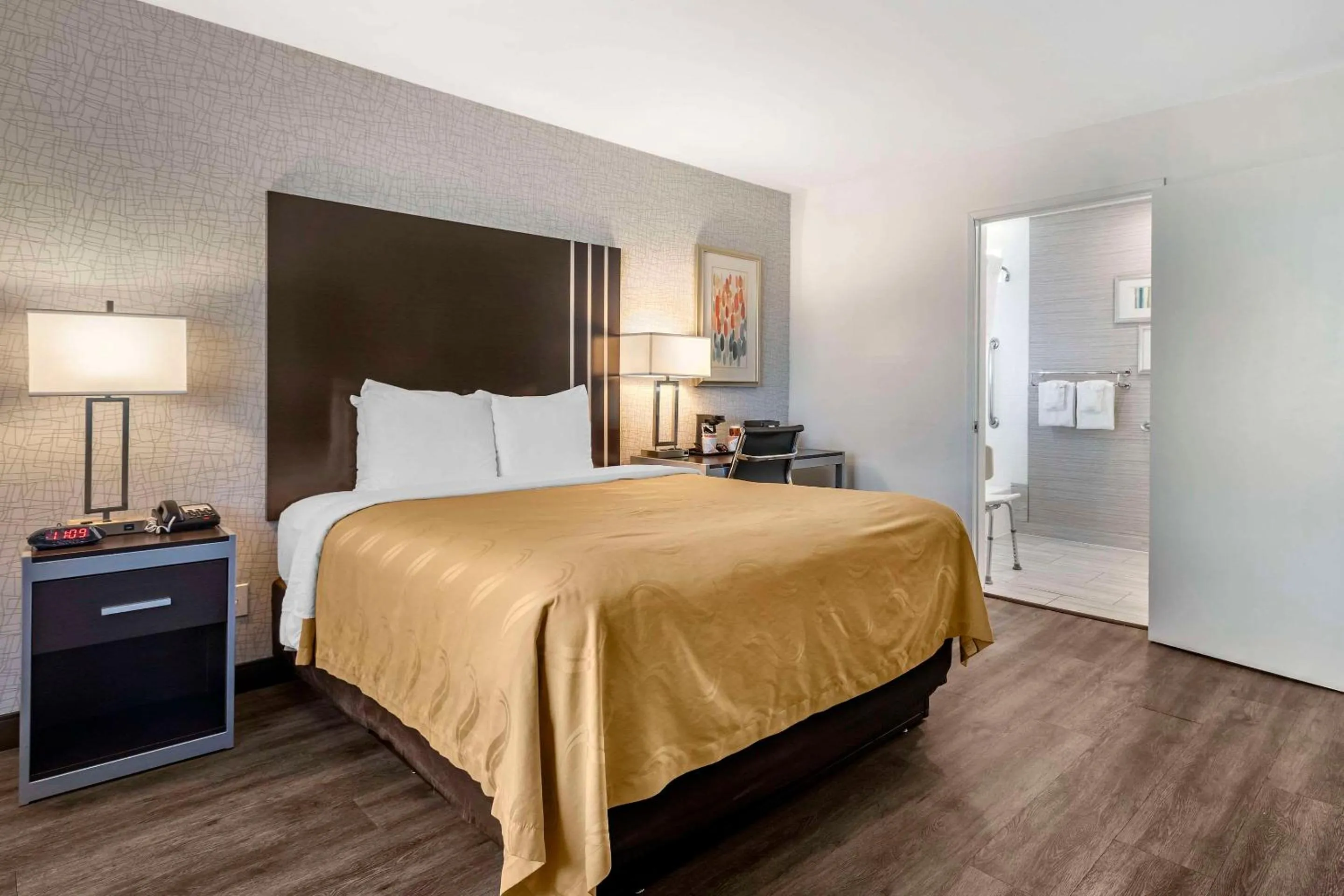 Accessible Room, 1 Queen Bed, Tub, Non Smoking in Quality Inn Burbank Airport