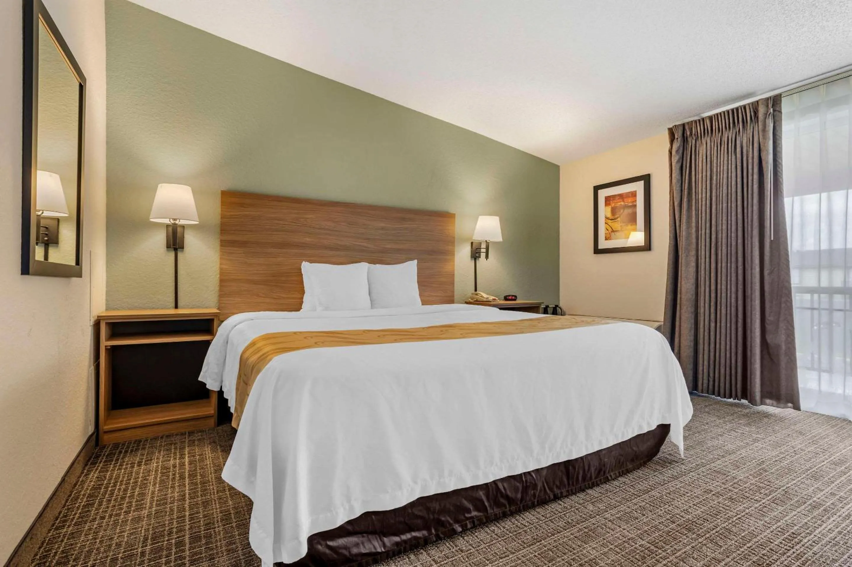 King Room - Non-Smoking in Quality Inn & Suites NRG Park - Medical Center