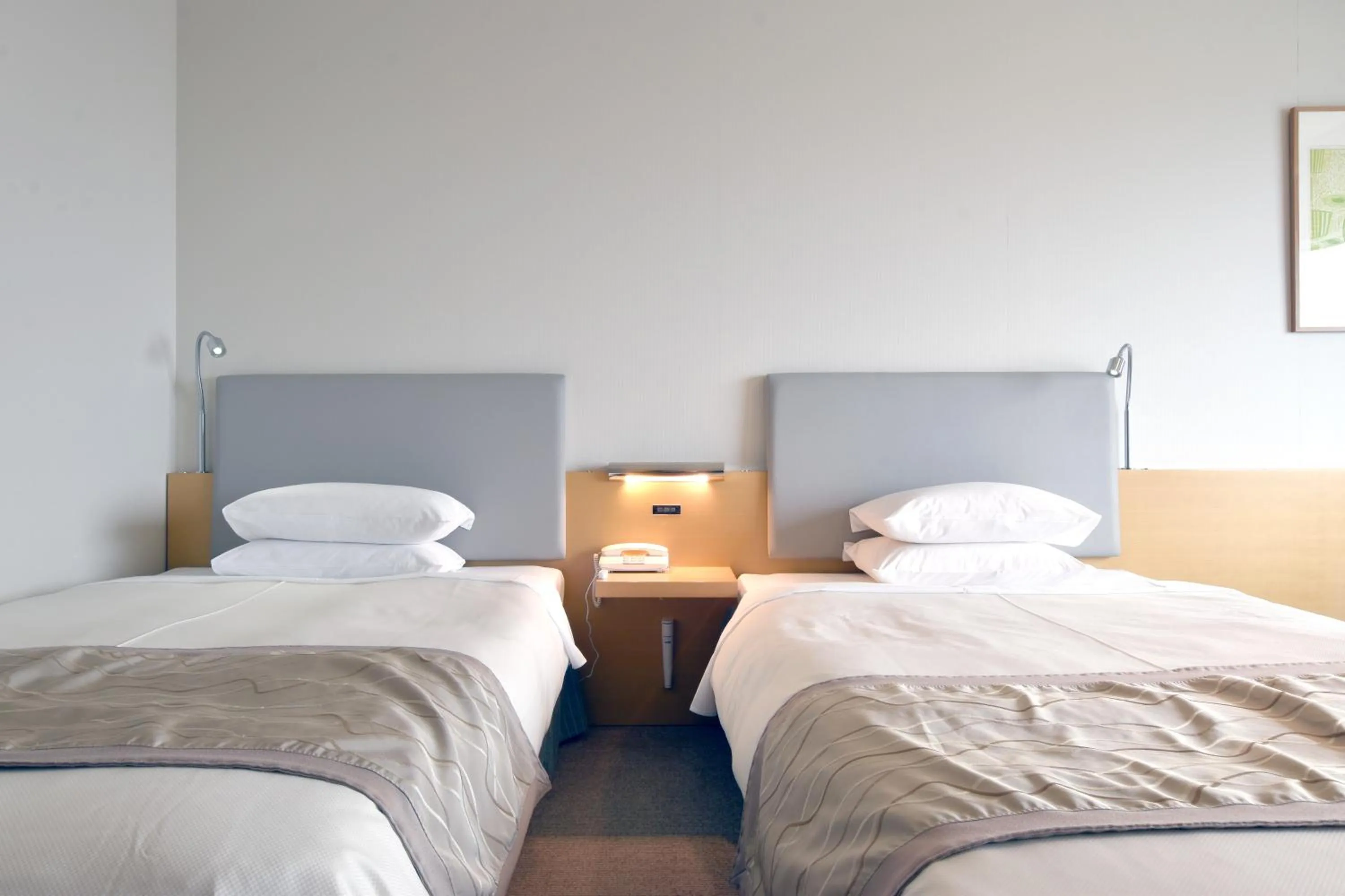 Deluxe Twin Room - single occupancy - Non-Smoking in Hotel Nikko Niigata