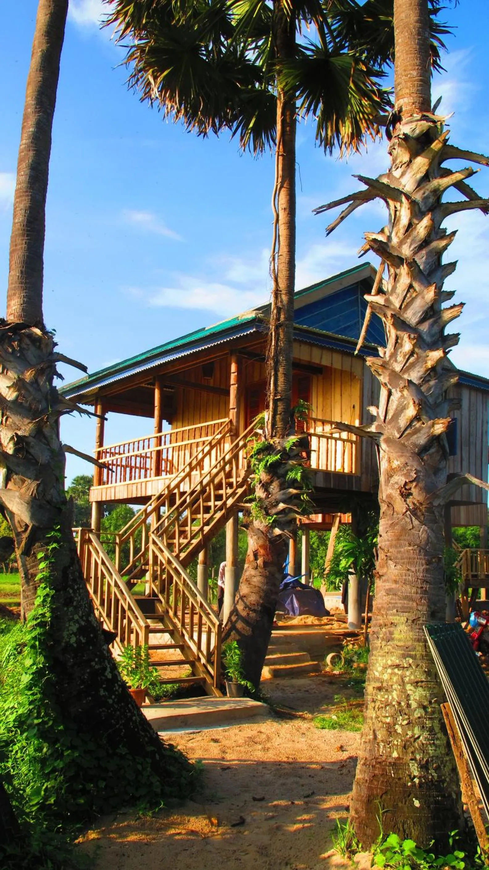 Palm Lodge in Champa Lodge