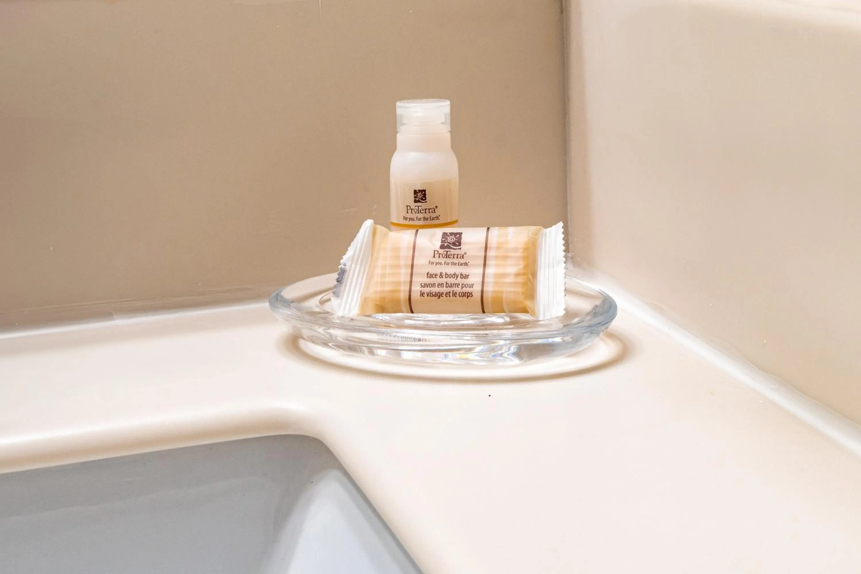 King Room with Roll - single occupancy - Disability Access - In Shower in Elm House Inn