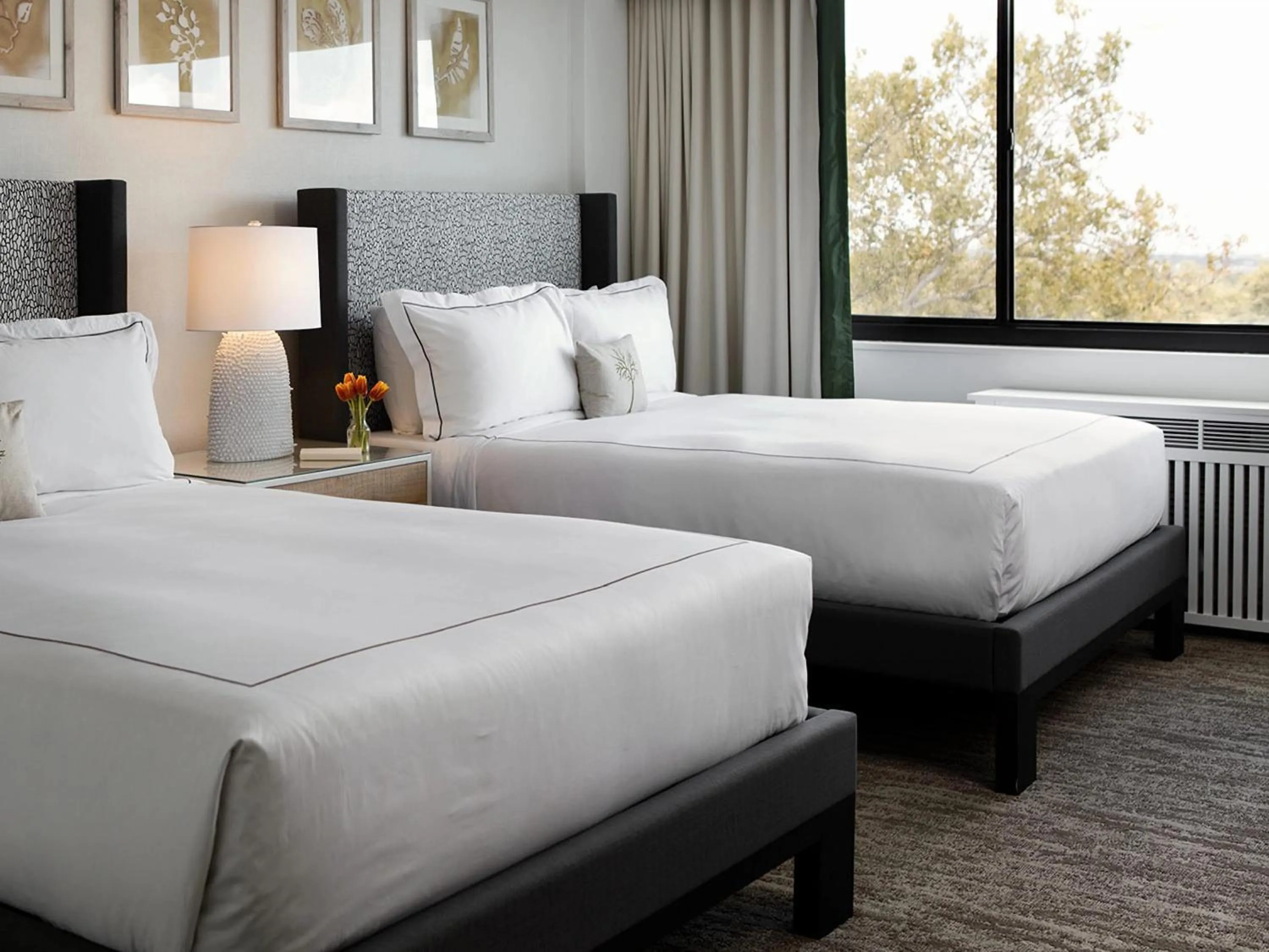 Queen Studio with Kitchenette in Glover Park Hotel Georgetown