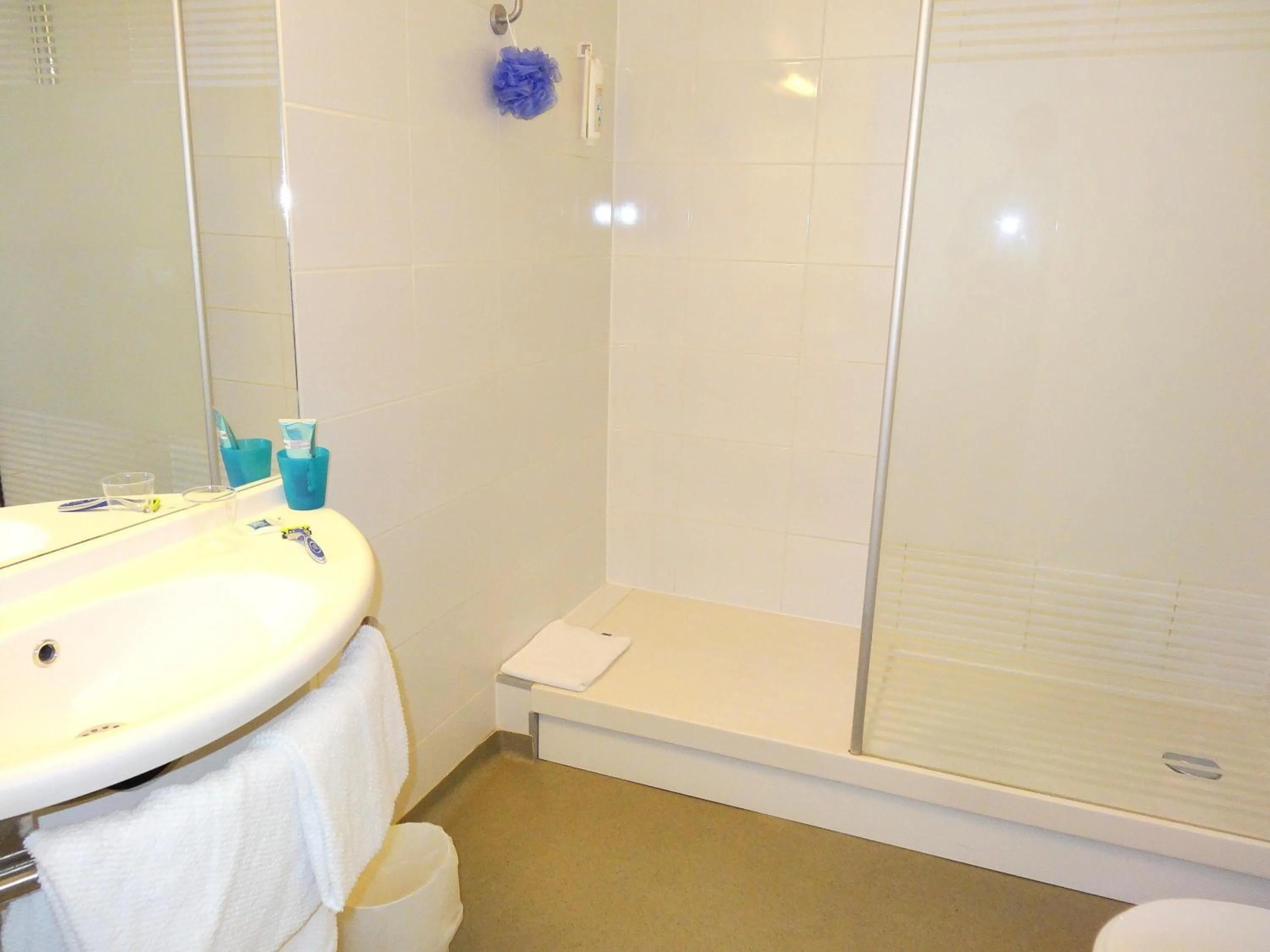 Double Room in ibis budget Marne la Vallée