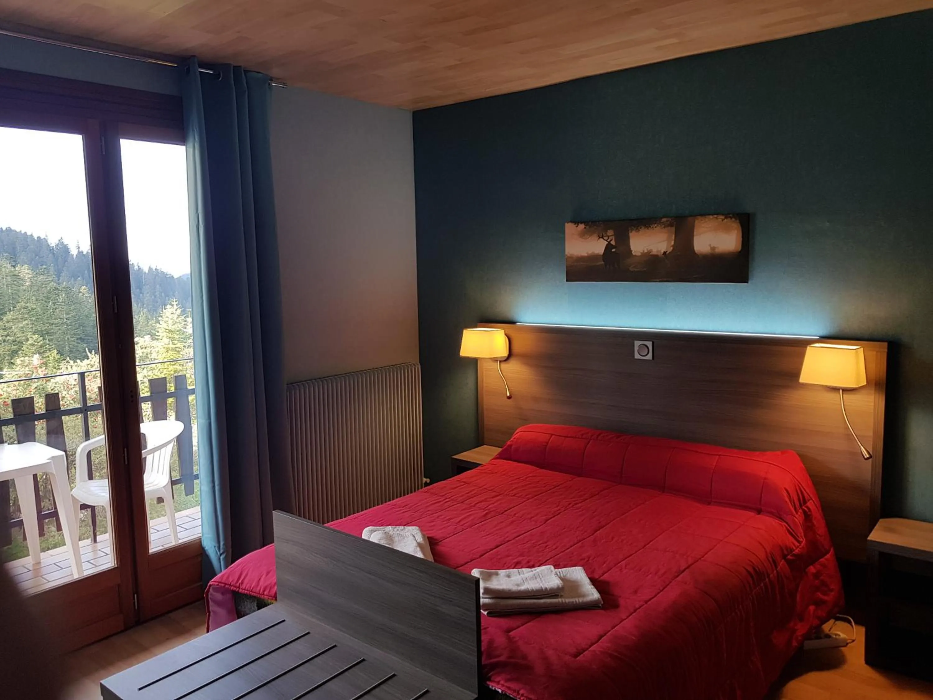 Double Room in Hôtel Les Chamois