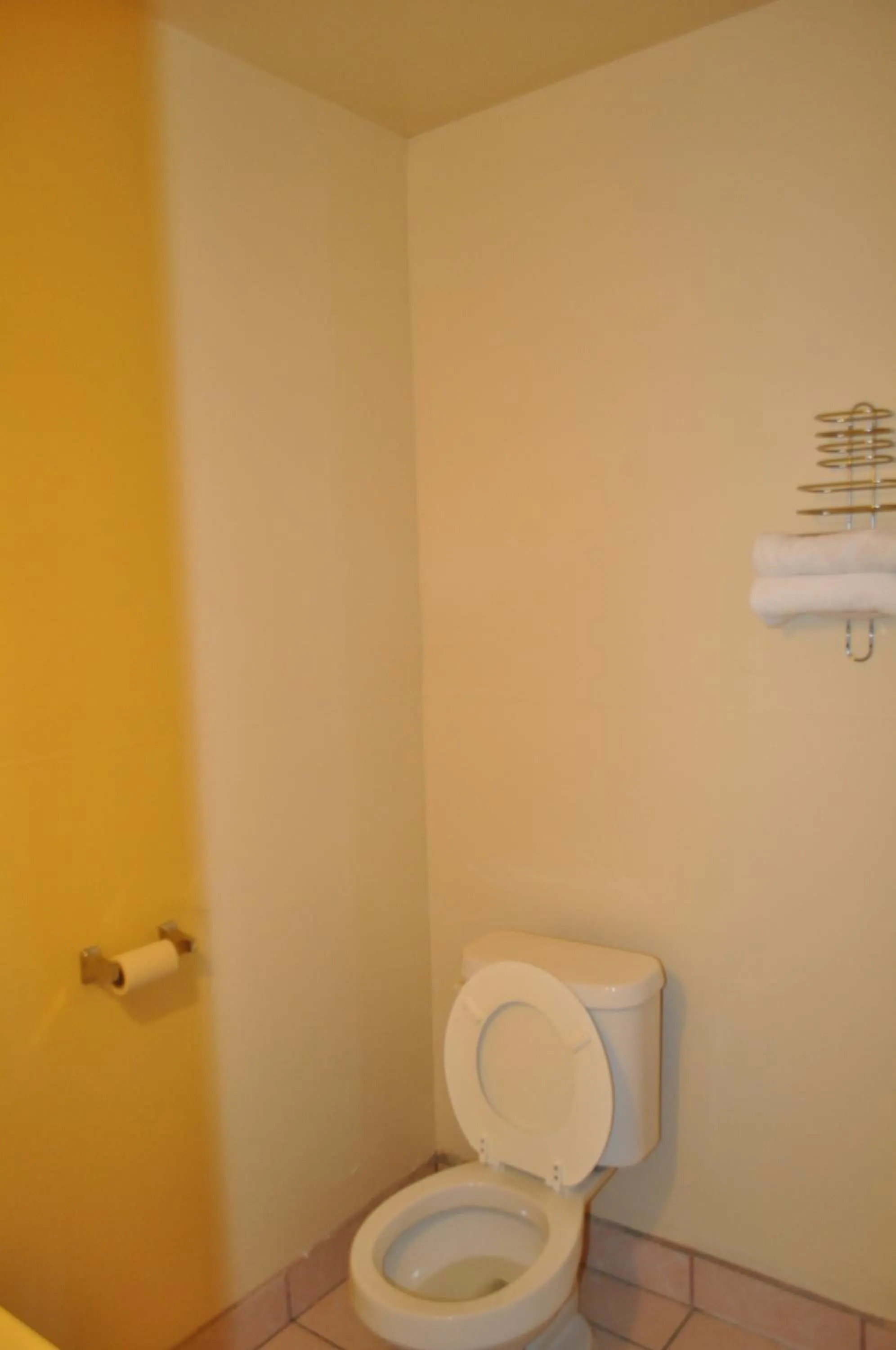 King Room in California Suites Motel