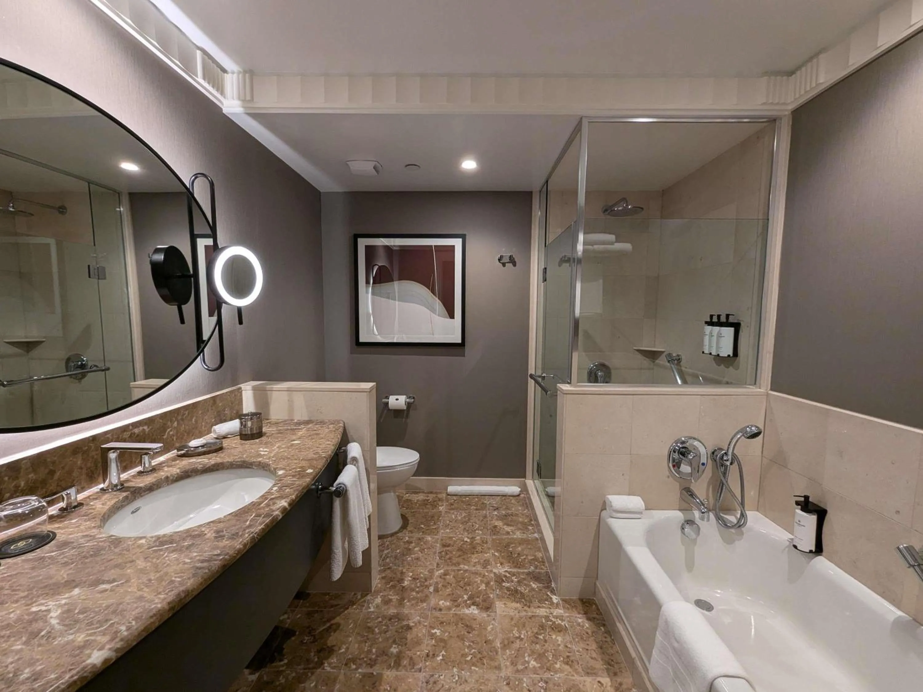 Luxury Queen Room with Bath Tub - Disability Access/City View in Sofitel New York