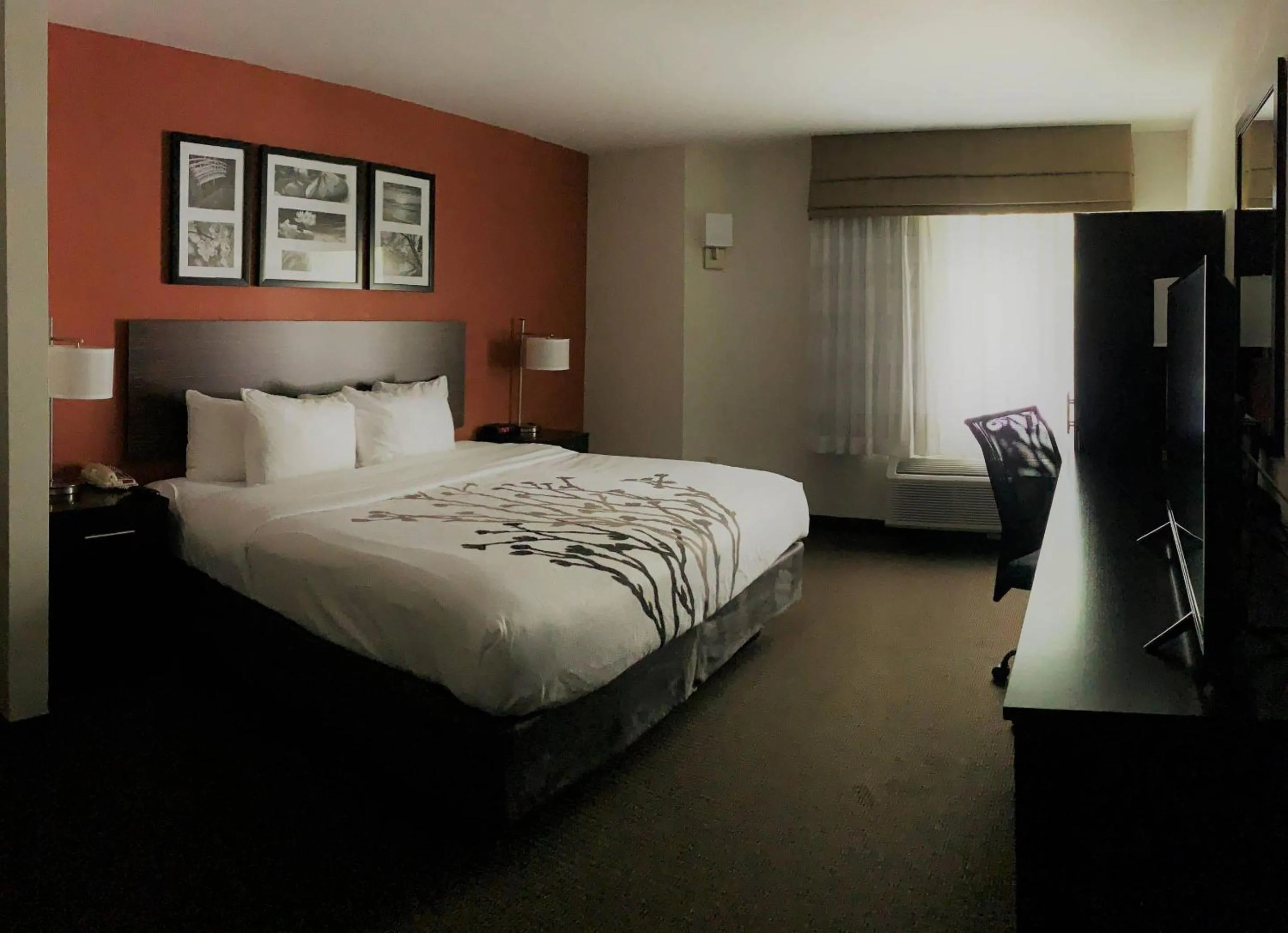 King Room with Roll-In Shower - Accessible/Non-Smoking in Sleep Inn Phoenix North I-17