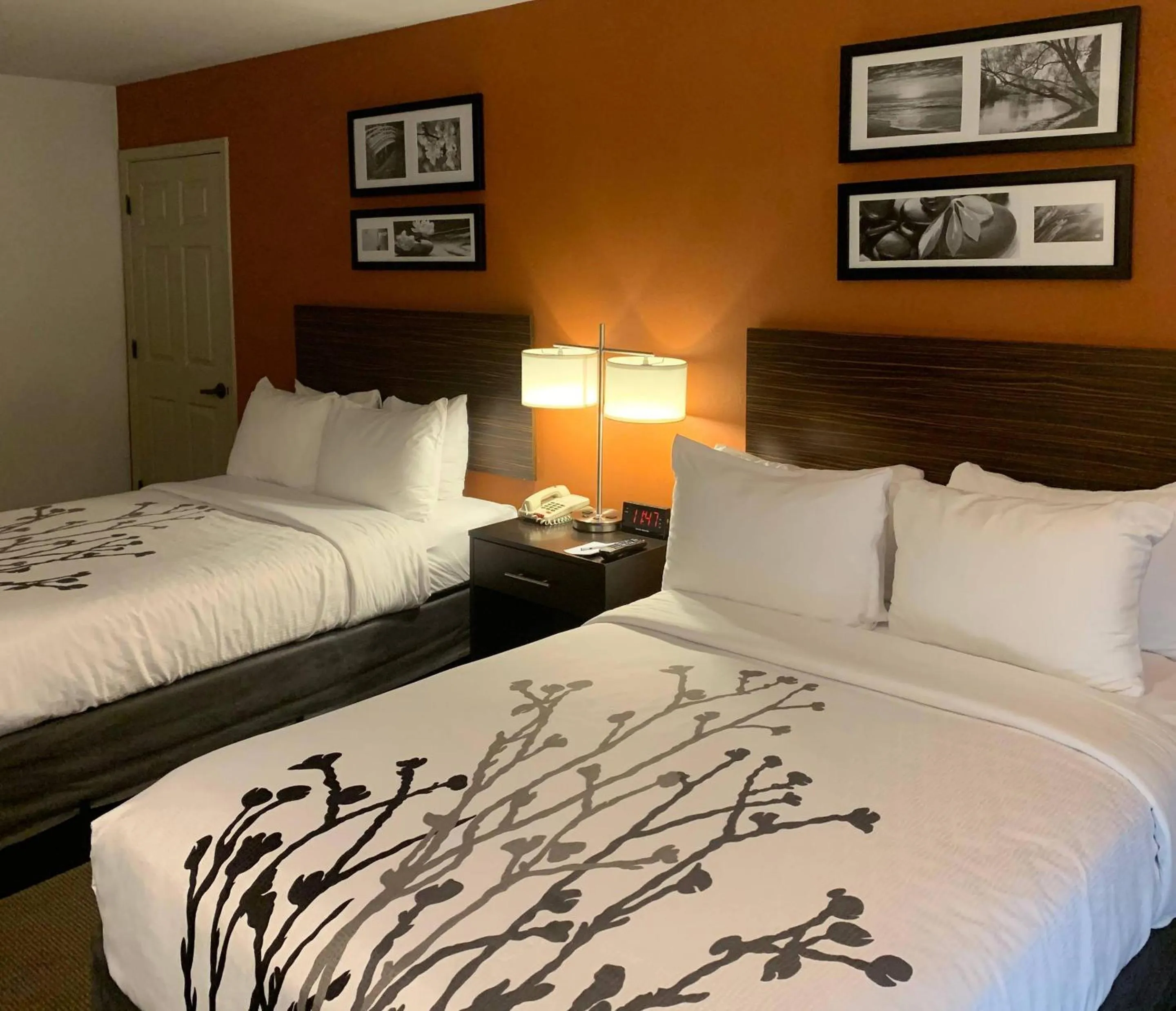 Standard Double Room with Two Double Beds - Non-Smoking in Sleep Inn Phoenix North I-17