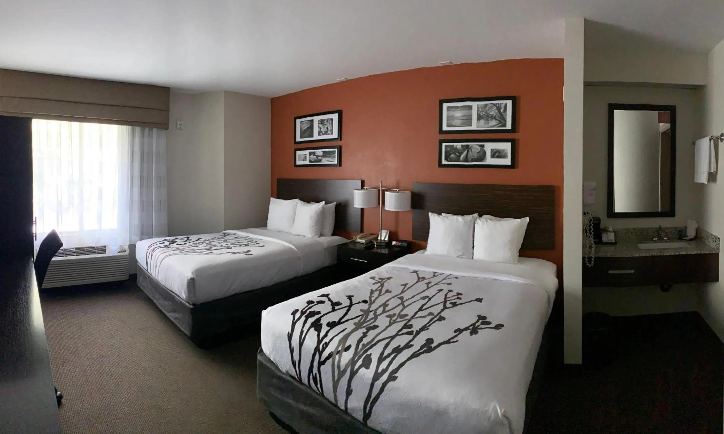Double Room with Two Double Beds and Roll In Shower - Mobility Accessible/Non-Smoking in Sleep Inn Phoenix North I-17