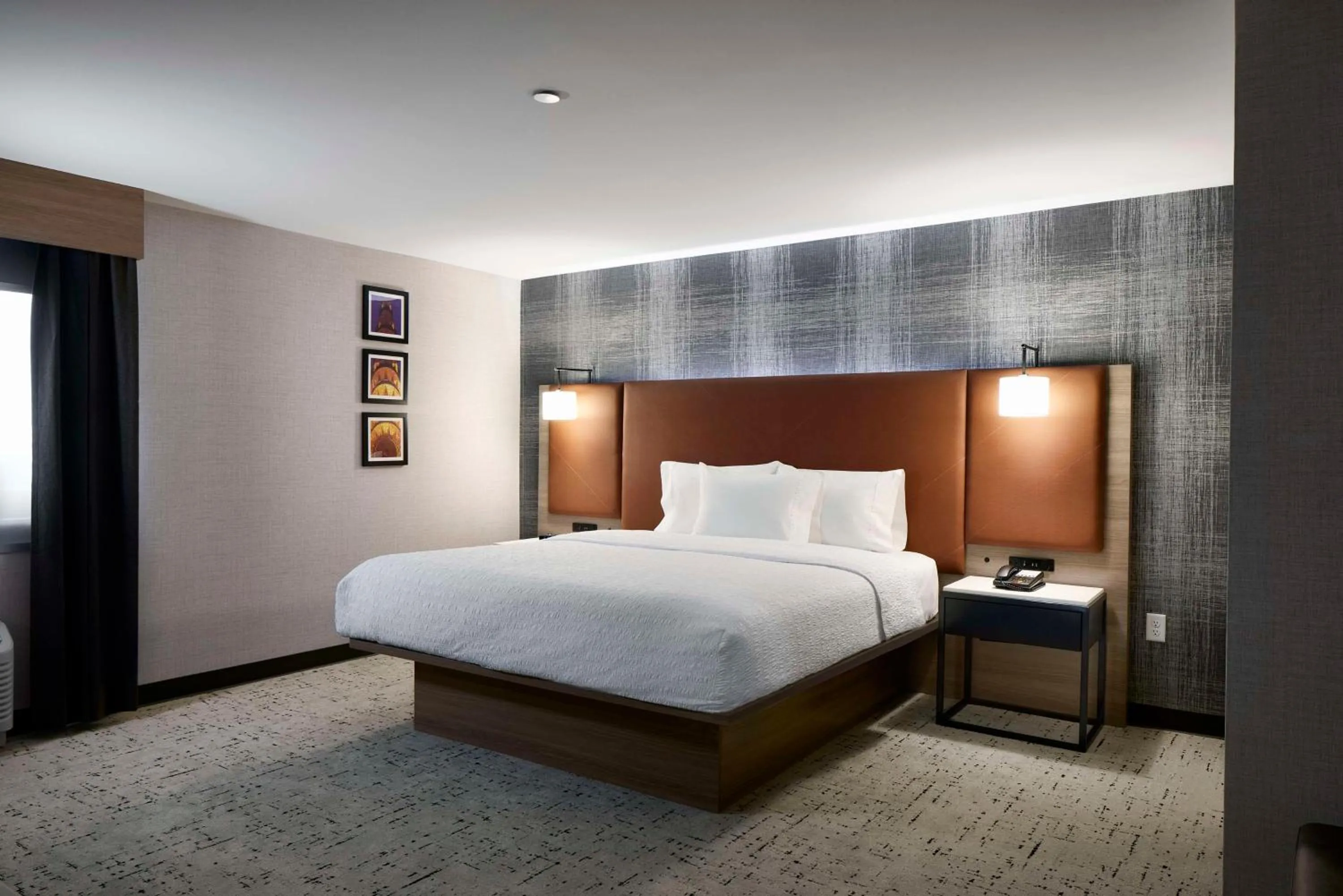 One-Bedroom King Suite in Hampton Inn Newark Airport
