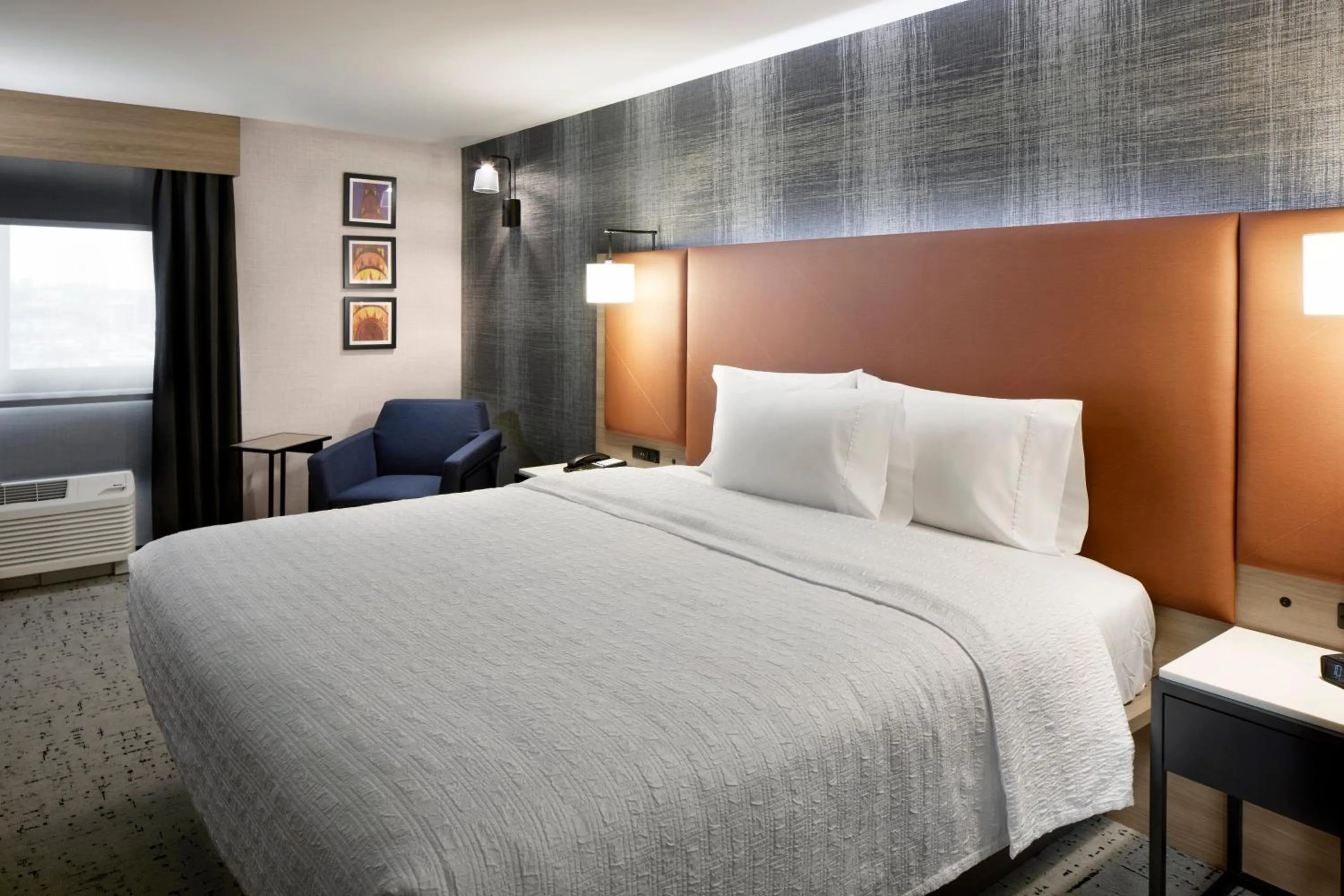 King Room with Bath Tub - Mobility Access in Hampton Inn Newark Airport