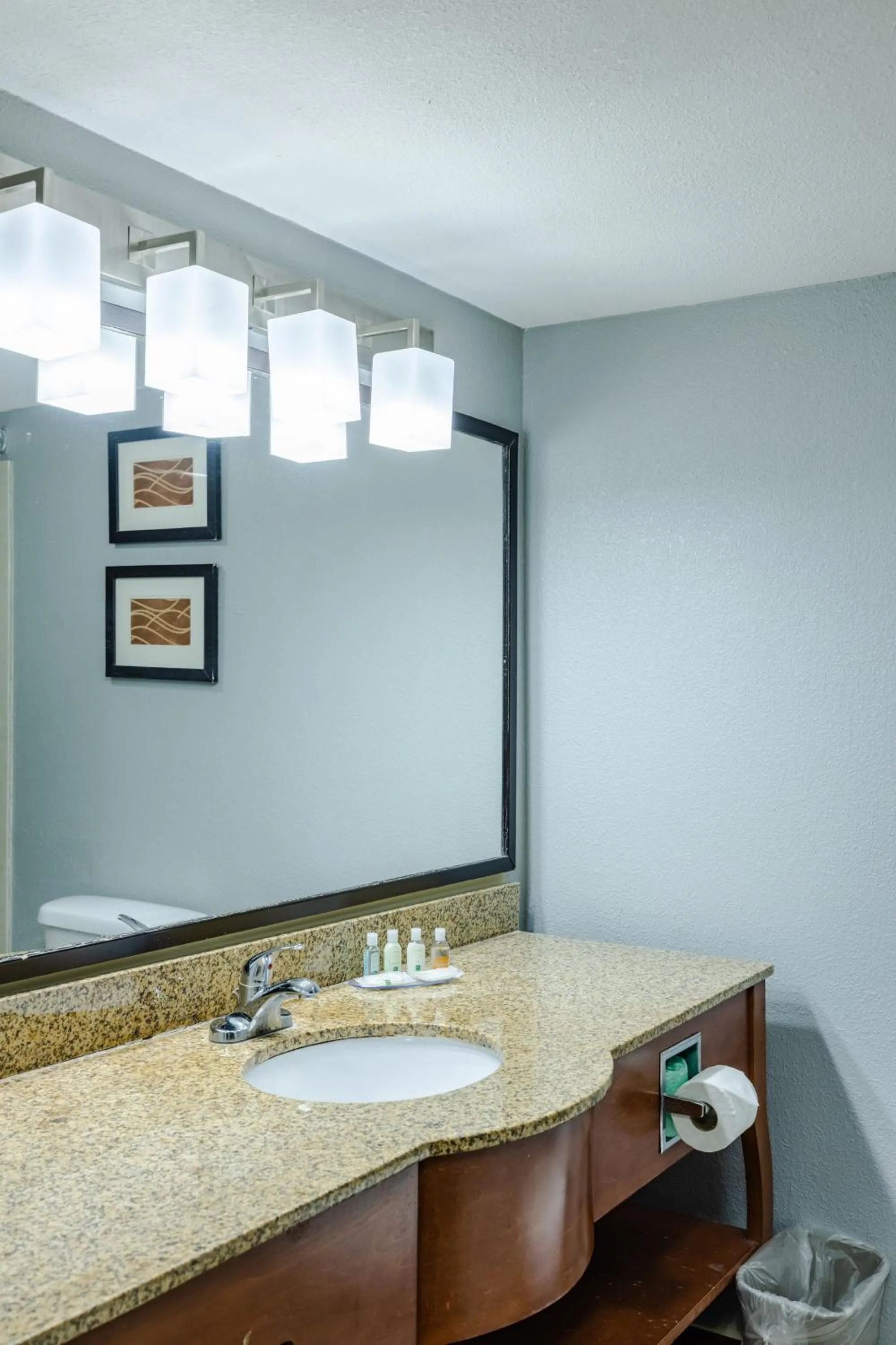 Standard King Room - Non-Smoking  in Quality Inn Olive Branch - Memphis South