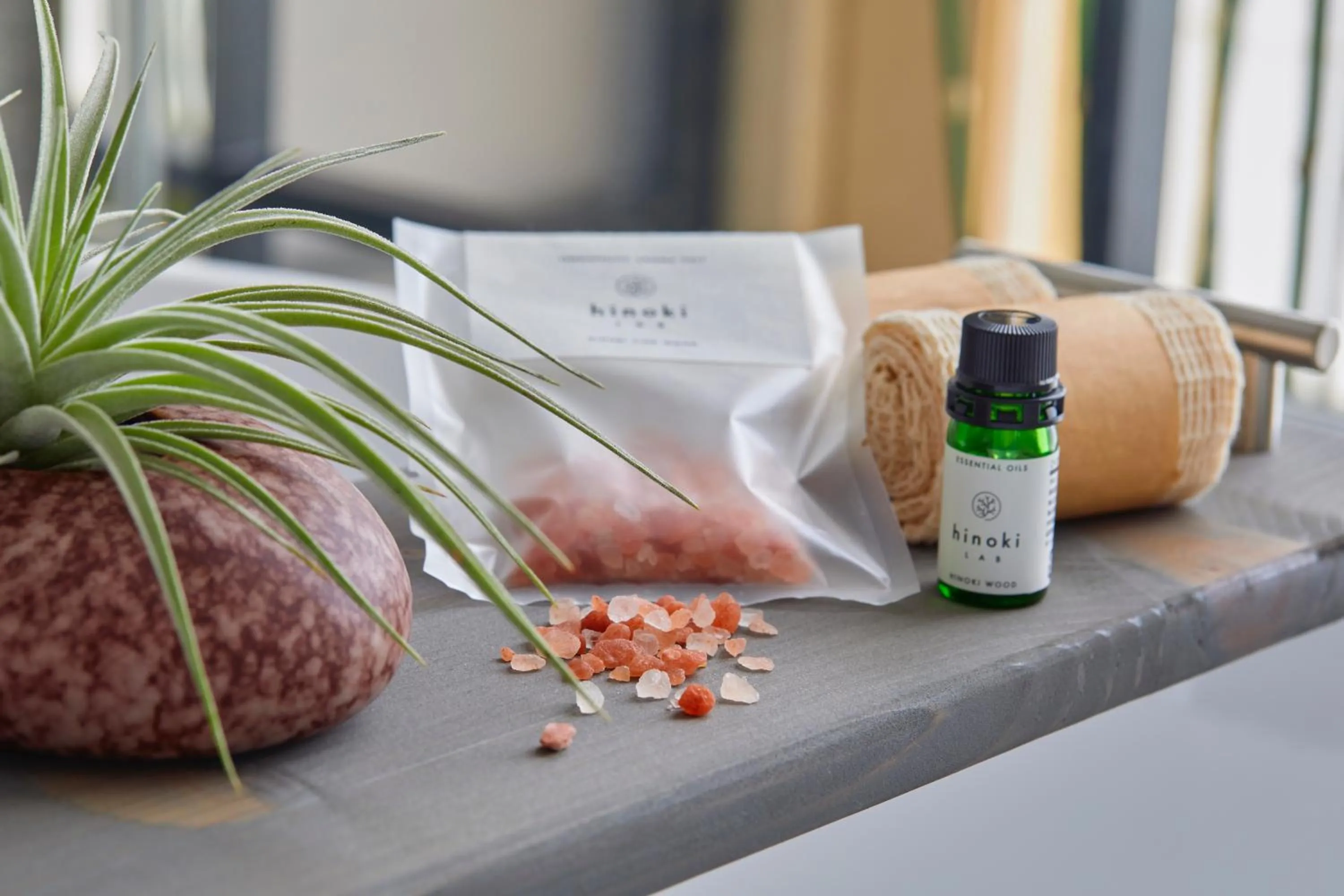 Twin Studio Suite - single occupancy - High Floor in Kimpton Shinjuku Tokyo by IHG