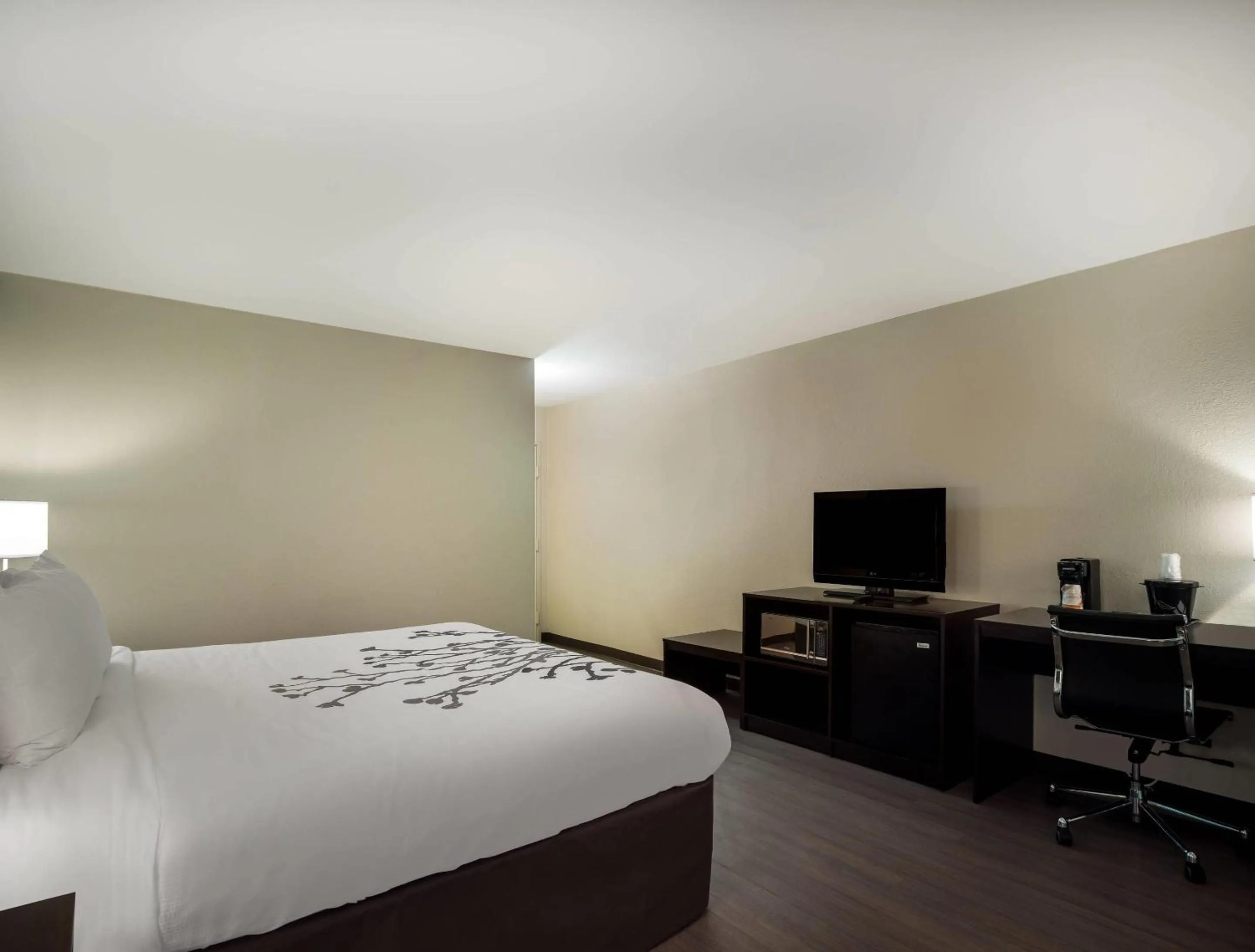 King Room - Non-Smoking in Sleep Inn Savannah Midtown