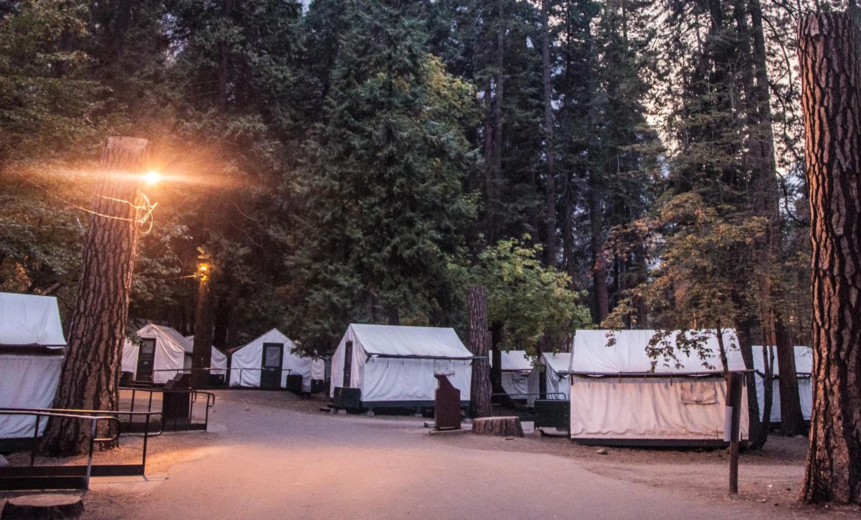 Heated Tent - 1D + 2S in Curry Village