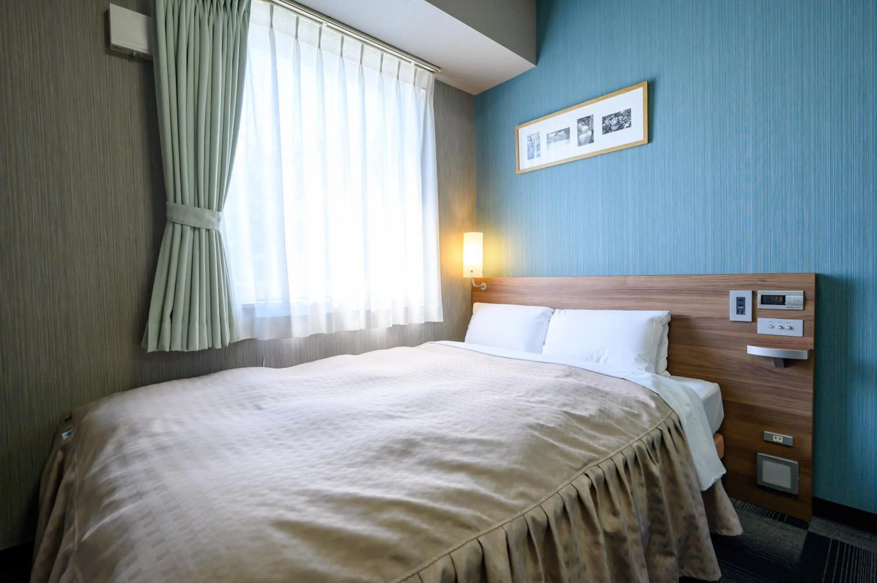 Economy Double Room - single occupancy - Non-Smoking in Hotel Econo Kameyama