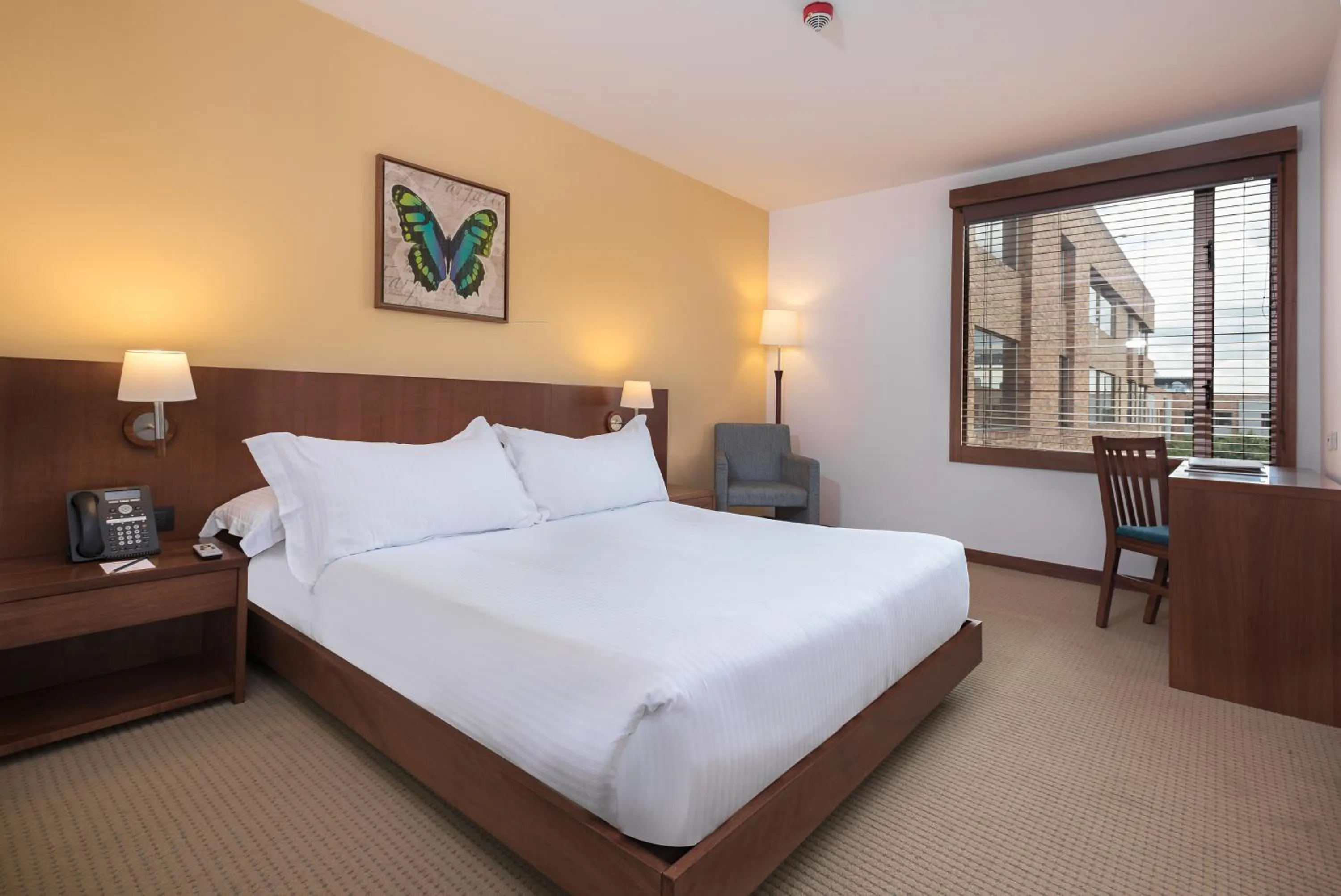 Executive Double Room in Hotel Habitel Select