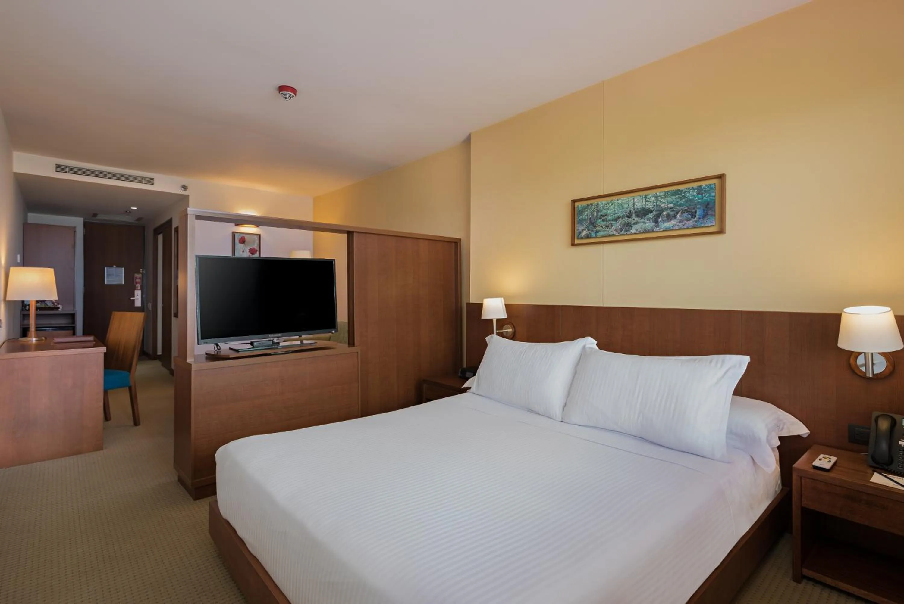 Junior Suite in Hotel Habitel Select