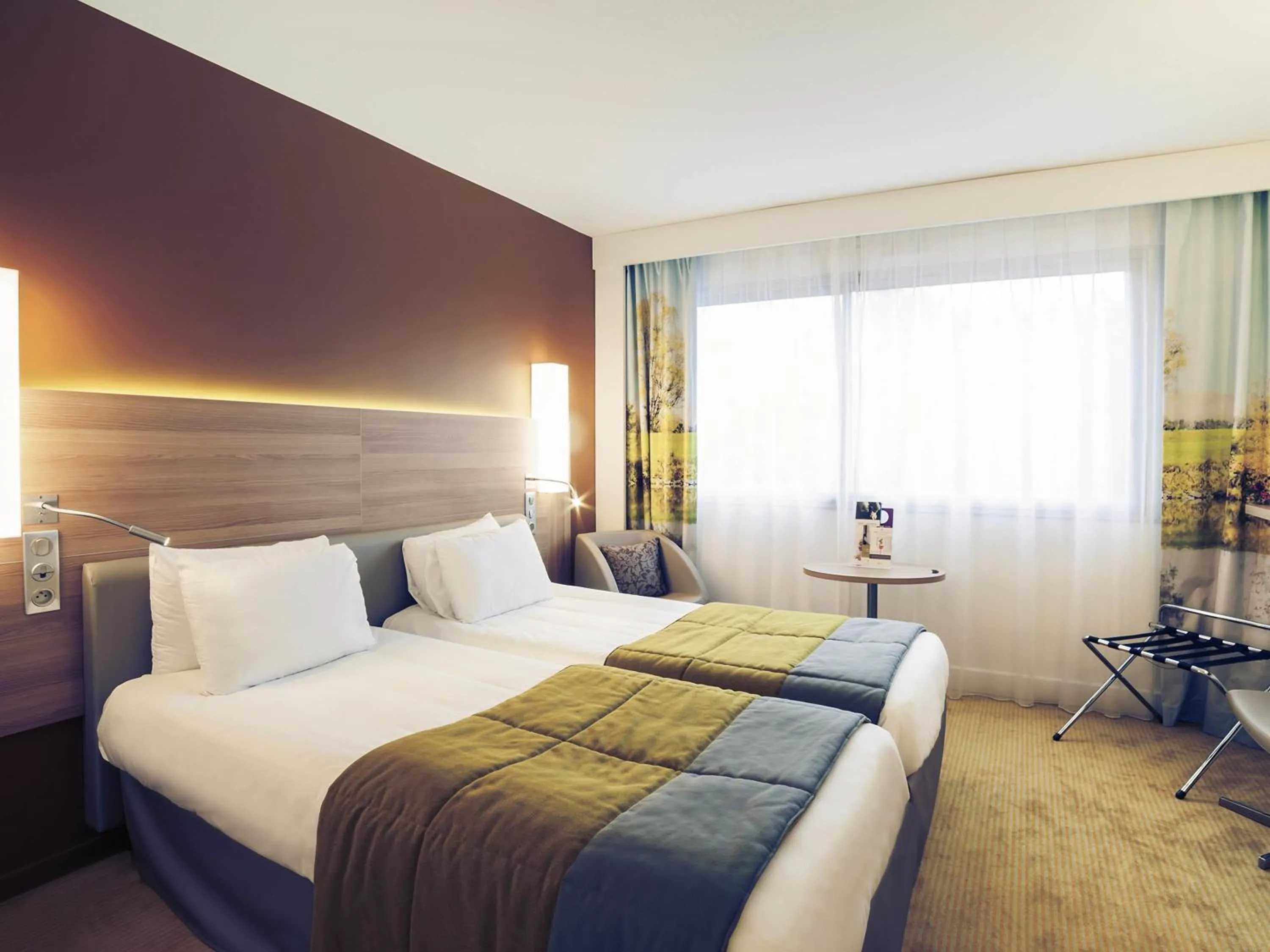 Classic Room with 2 Single Beds in Hôtel Mercure Mâcon Bord de Saône