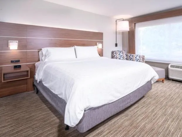 Standard Room in Holiday Inn Express - Brevard by IHG