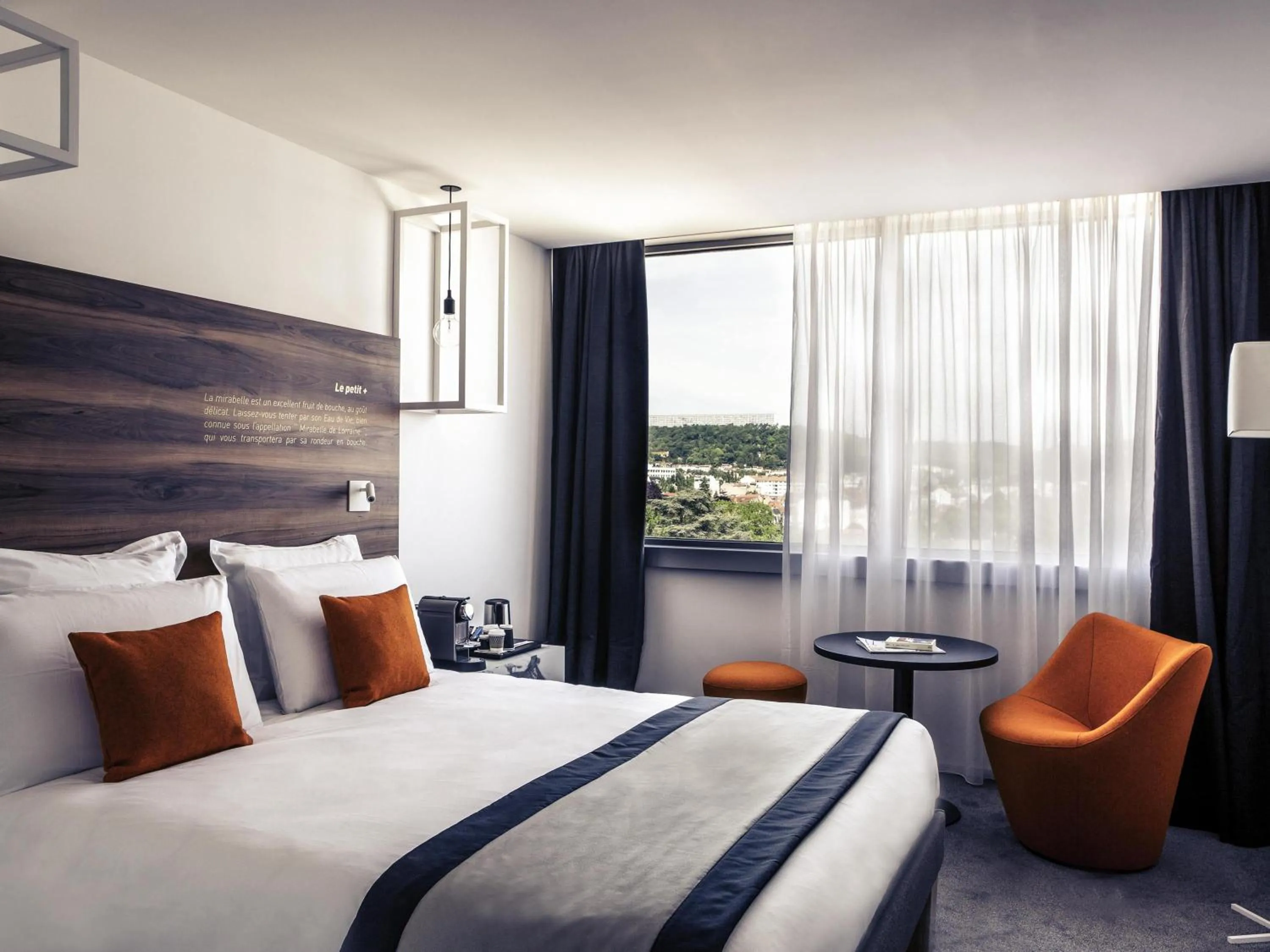 Privelege Double Room in Mercure Nancy Centre Gare