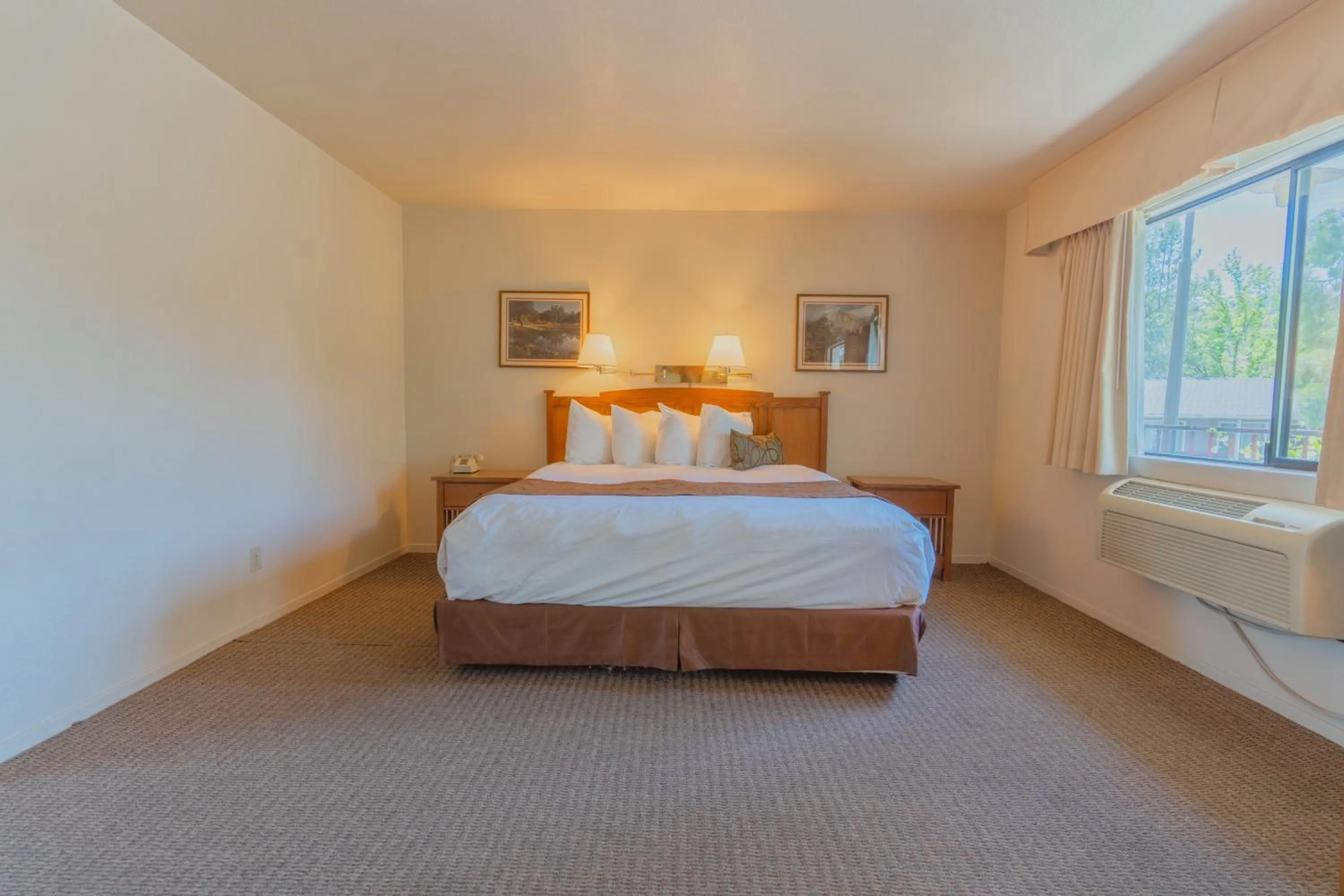 King Room - single occupancy in Mariposa Lodge