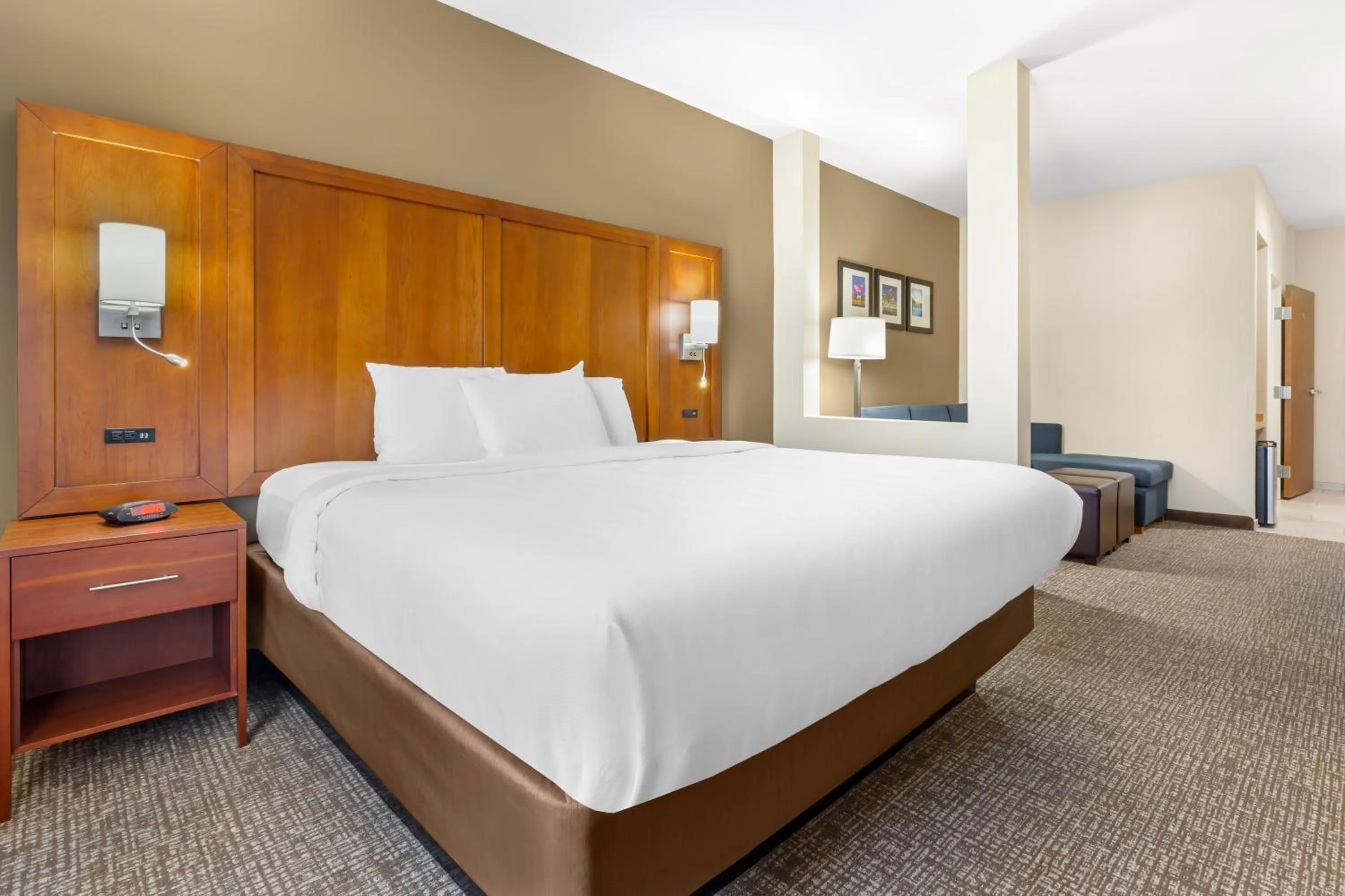 King Room - Disability Access/Non-Smoking in Comfort Suites Greensboro-High Point