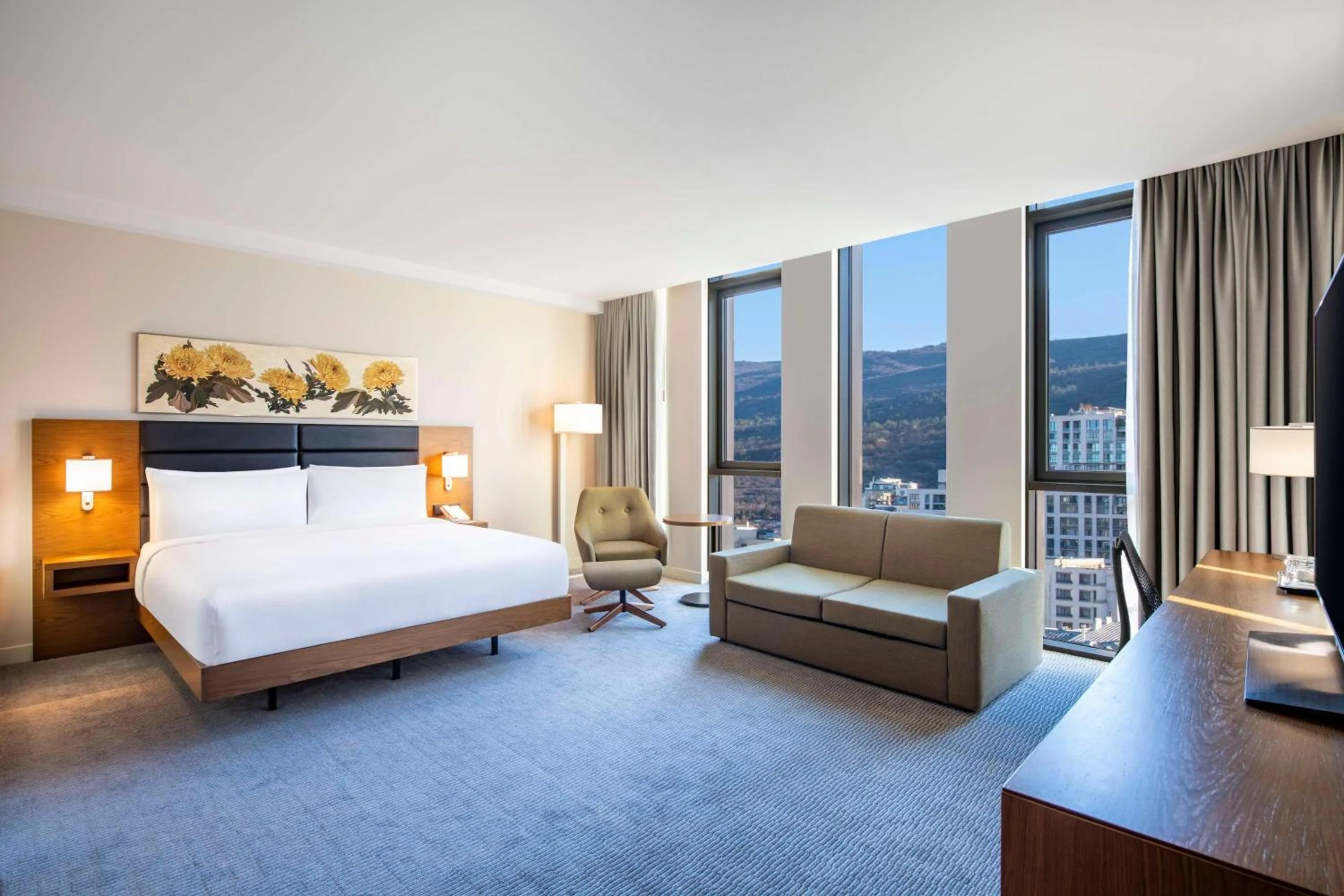 King Room with Sofa Bed in Hilton Garden Inn Tbilisi Chavchavadze