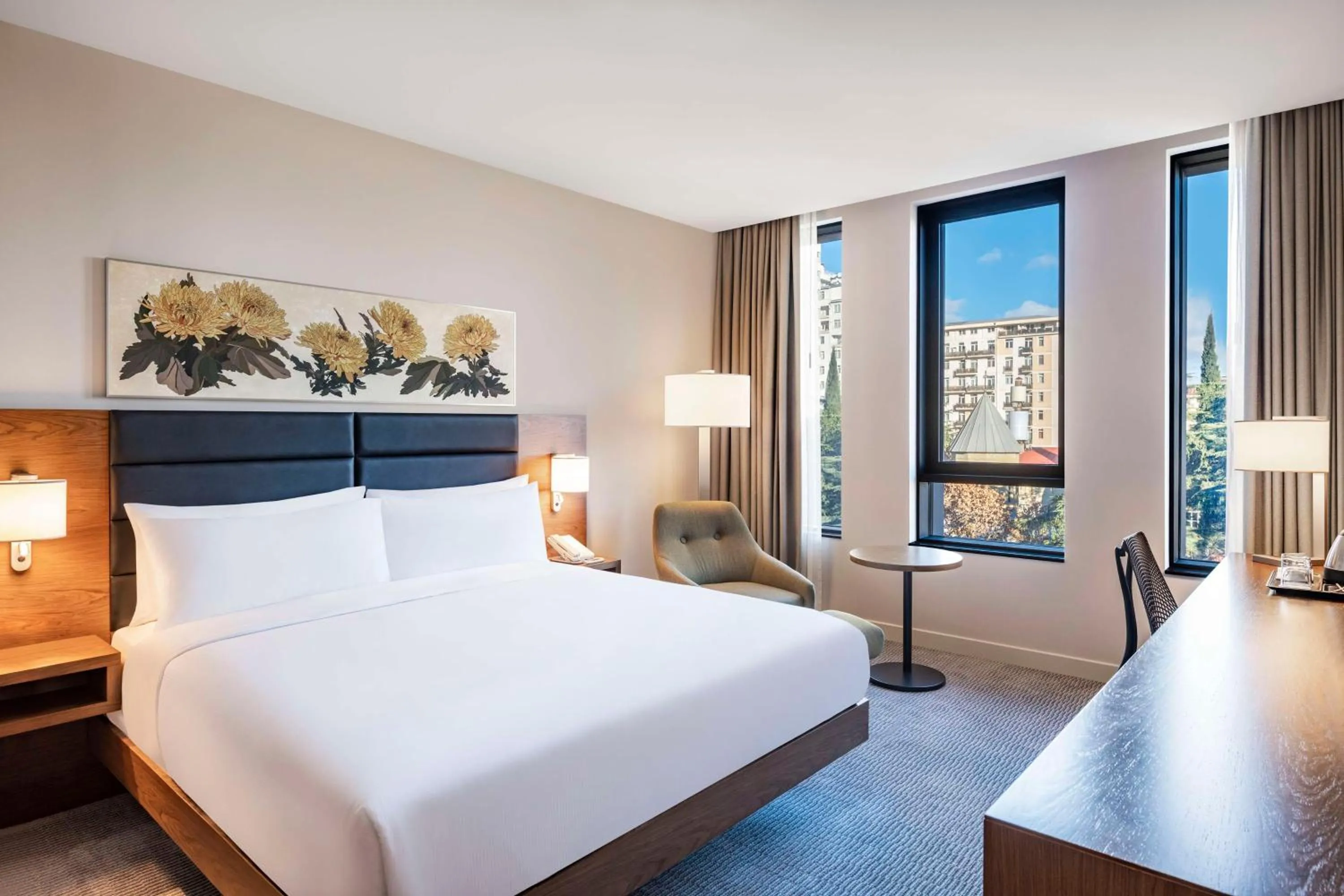King Room in Hilton Garden Inn Tbilisi Chavchavadze