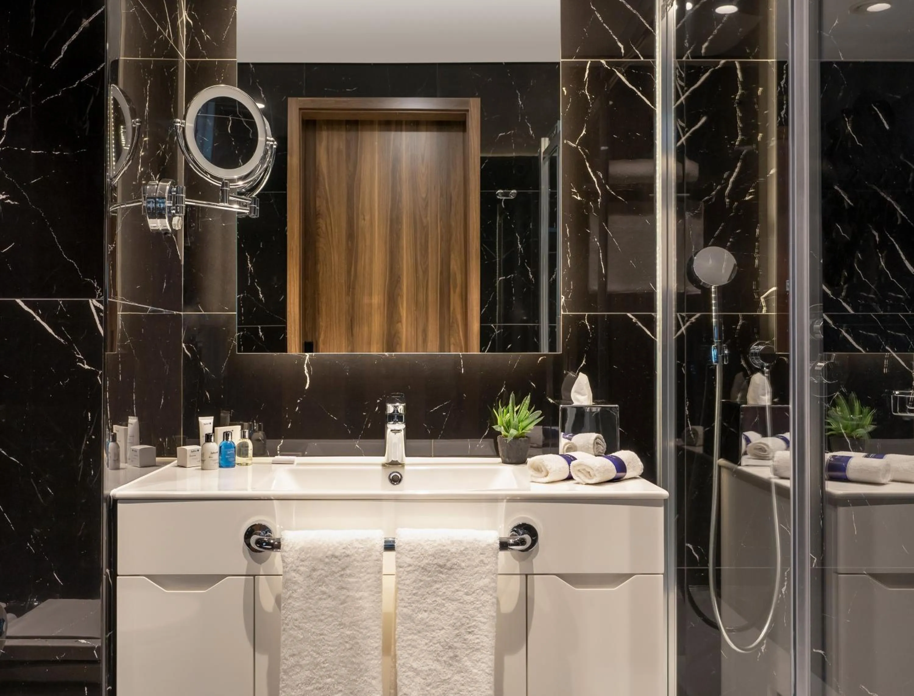 Superior Room with Greenery View in Radisson Blu Hotel, Sakarya