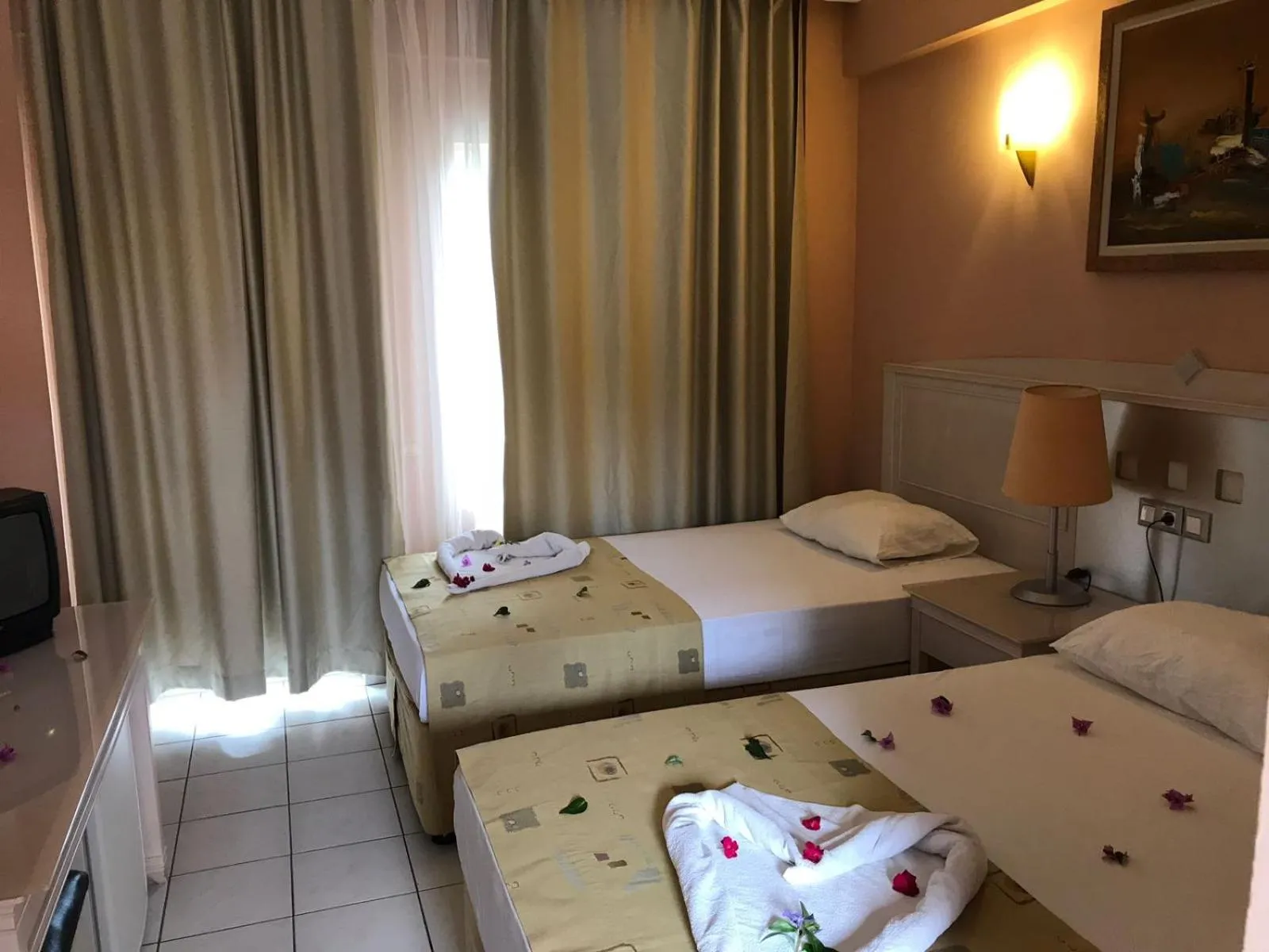 Double or Twin Room in Ares Dream Hotel