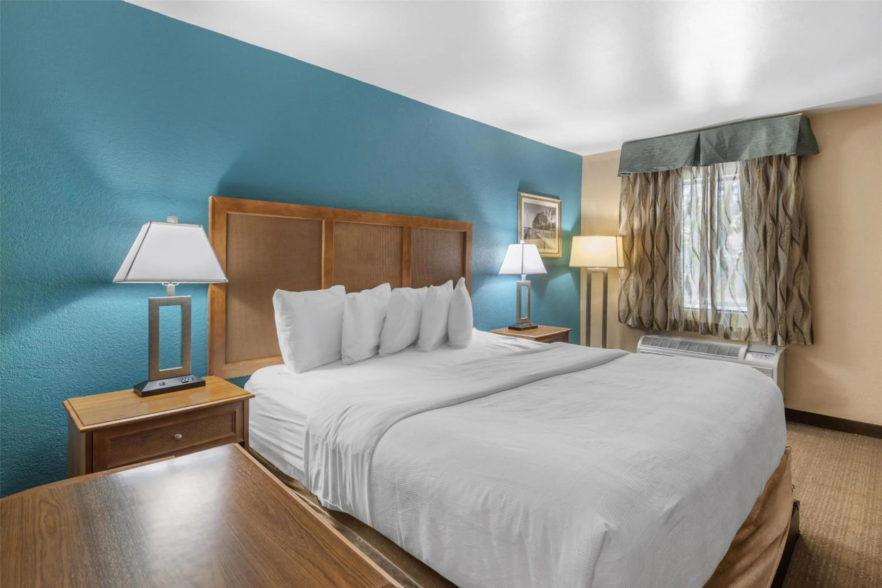 King Room with Roll-in Shower - Disability Access/Non-Smoking in Best Western Charleston Inn