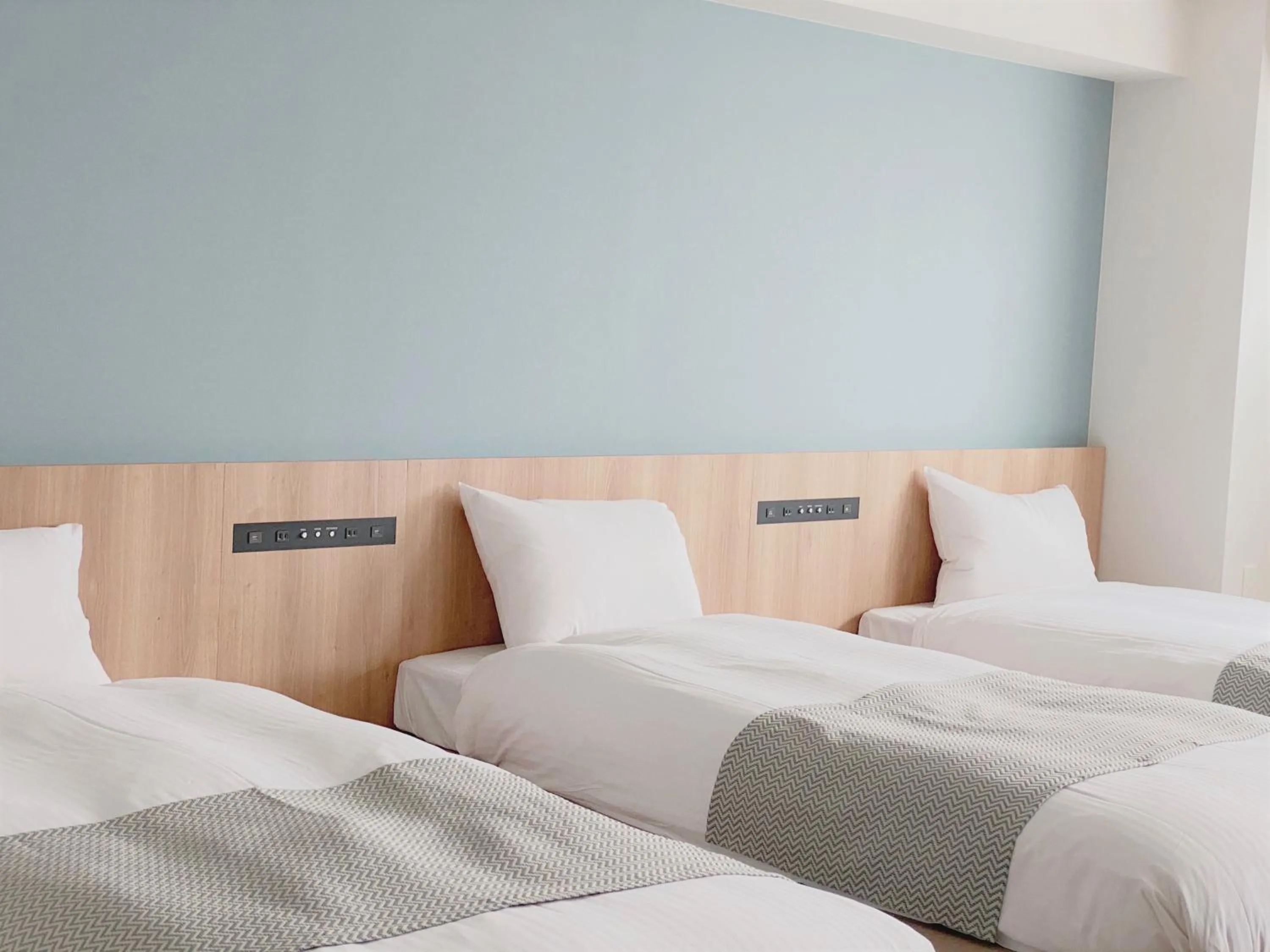 Twin Room with Extra Bed in THE TOURIST HOTEL & Cafe AKIHABARA