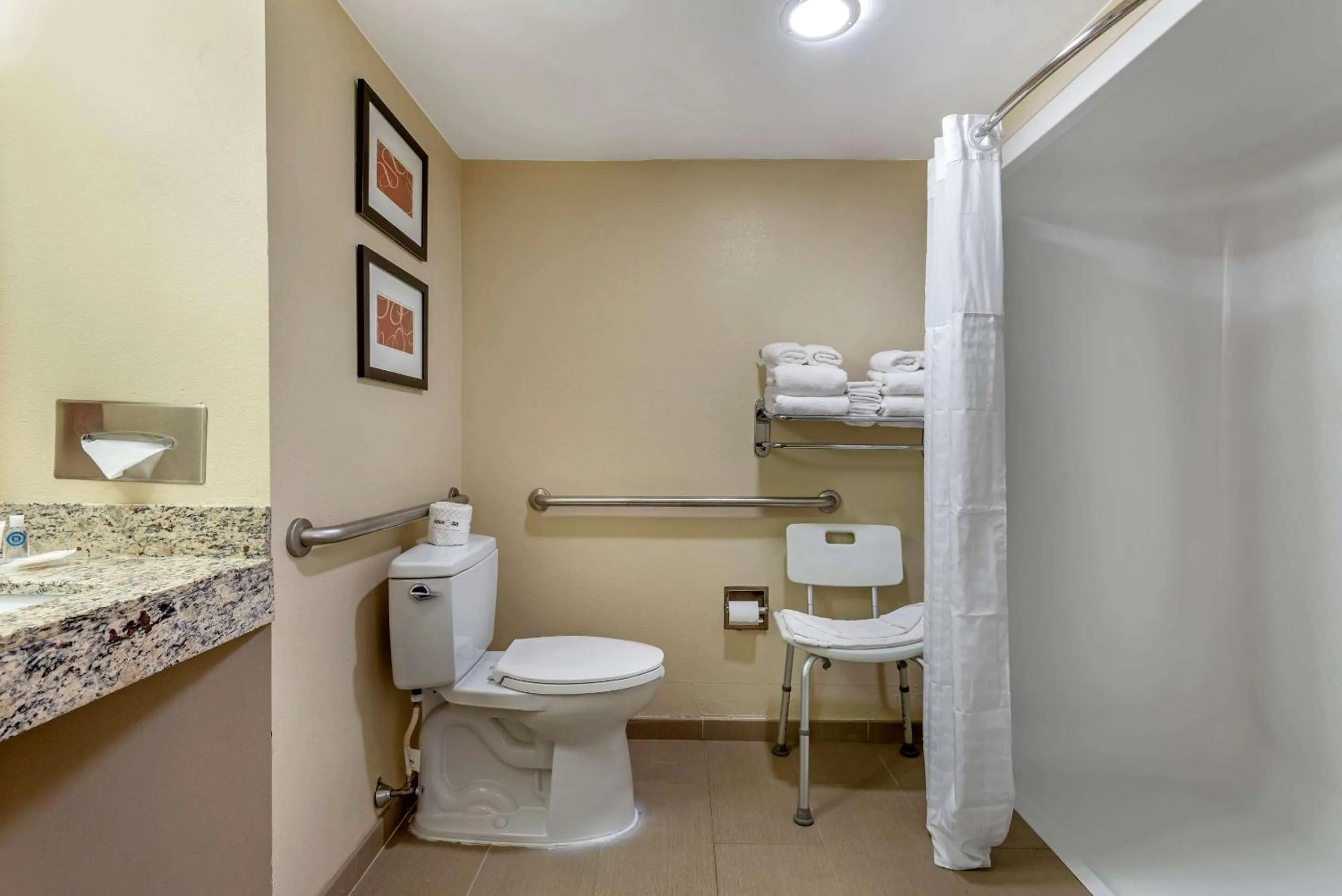 King Suite - Accessible/Non-Smoking in Comfort Suites Newark - Harrison