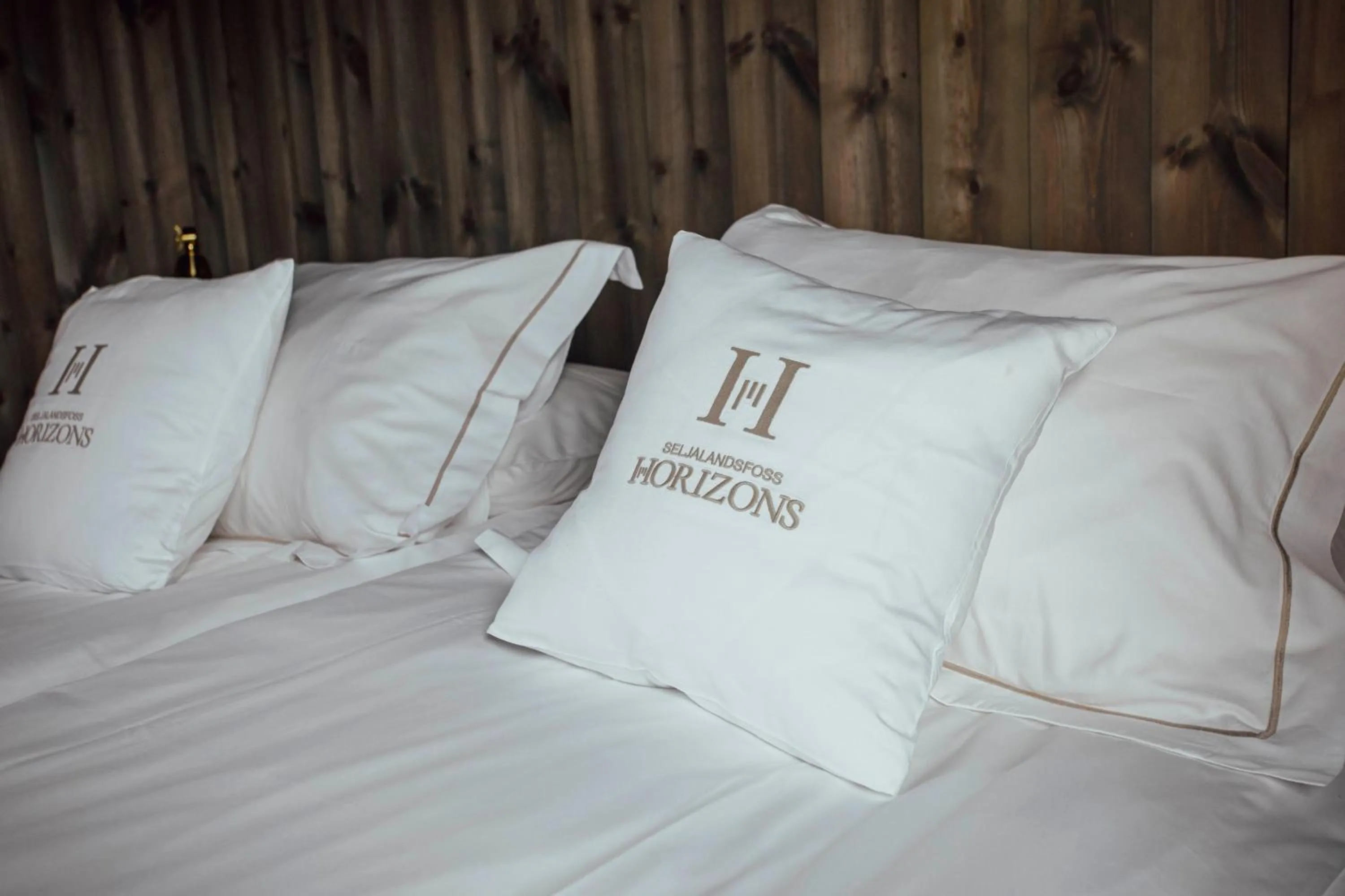 Deluxe Villa in Seljalandsfoss Horizons