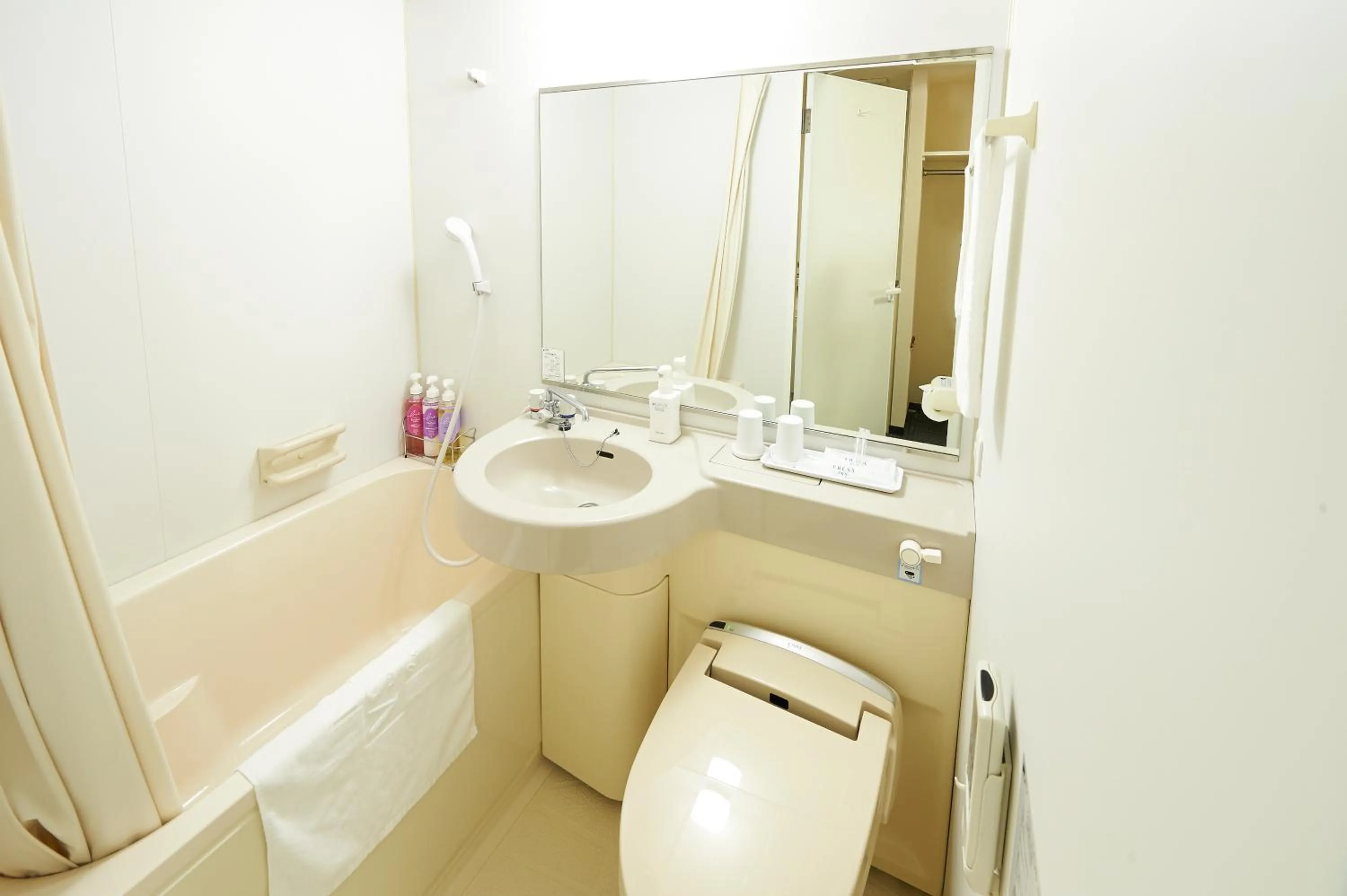 Single Room - Smoking in Sotetsu Fresa Inn Fujisawa Shonandai