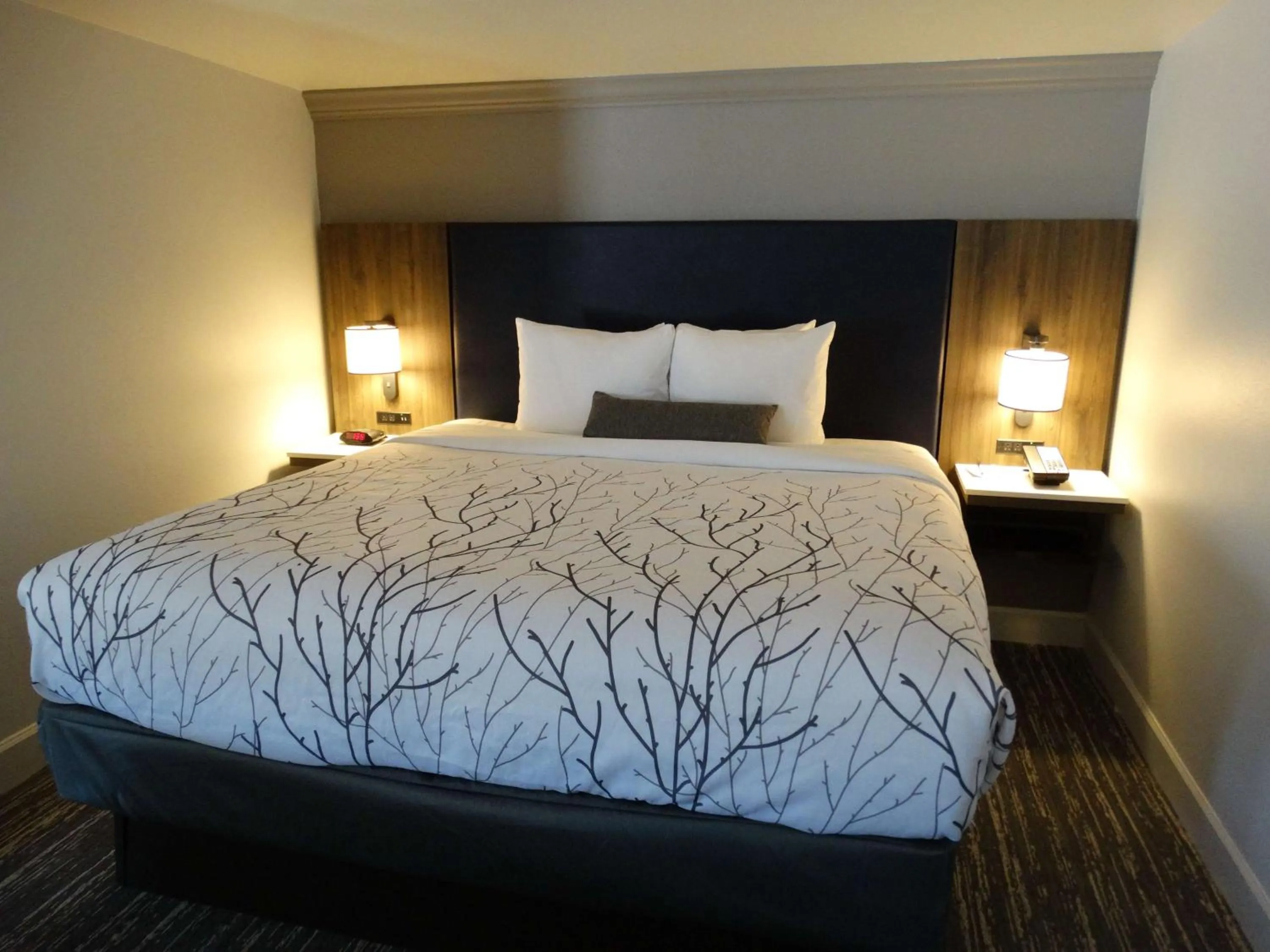 King Room in Best Western Premier Denver East
