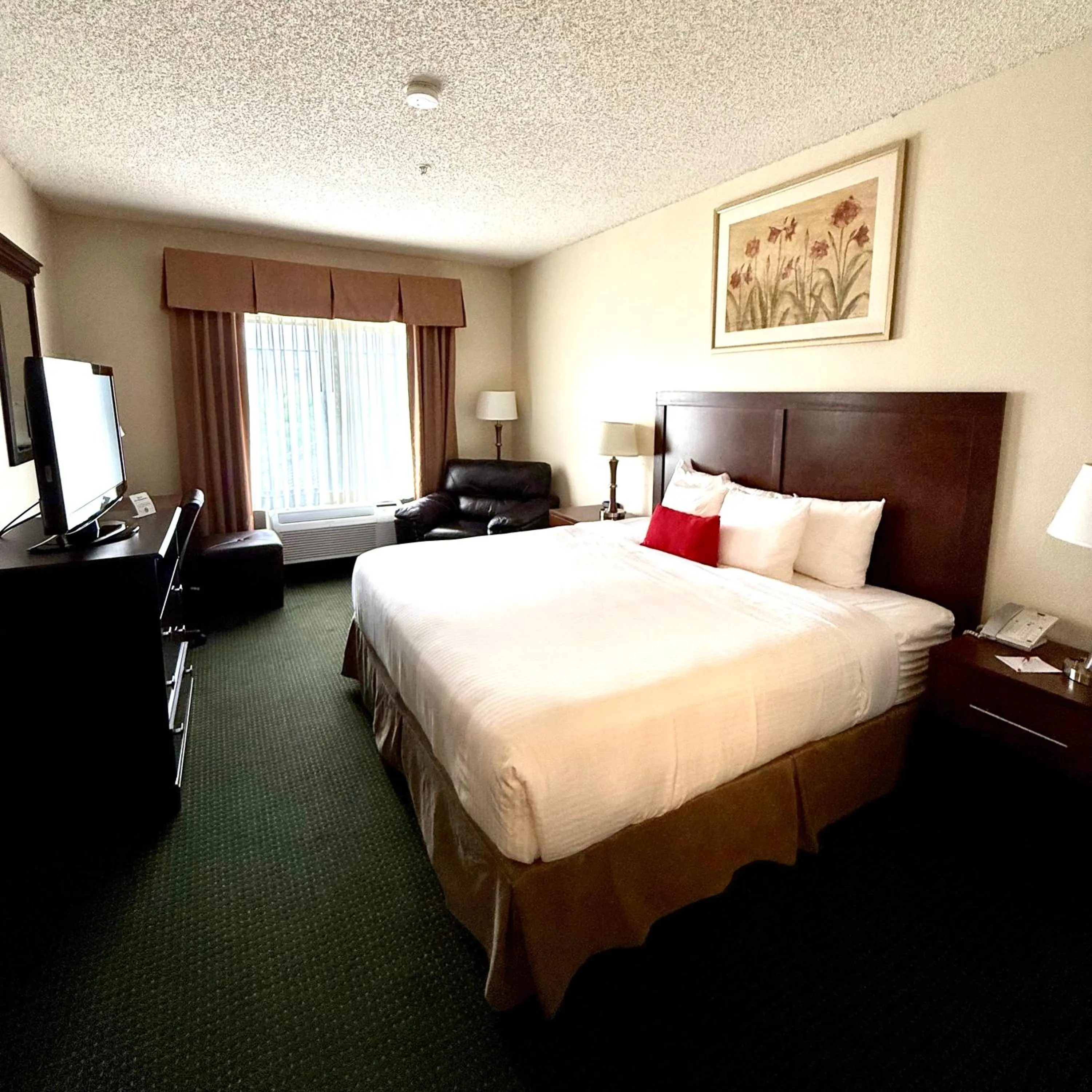 Deluxe King Suite - Non-Smoking in Ramada by Wyndham Denver International Airport