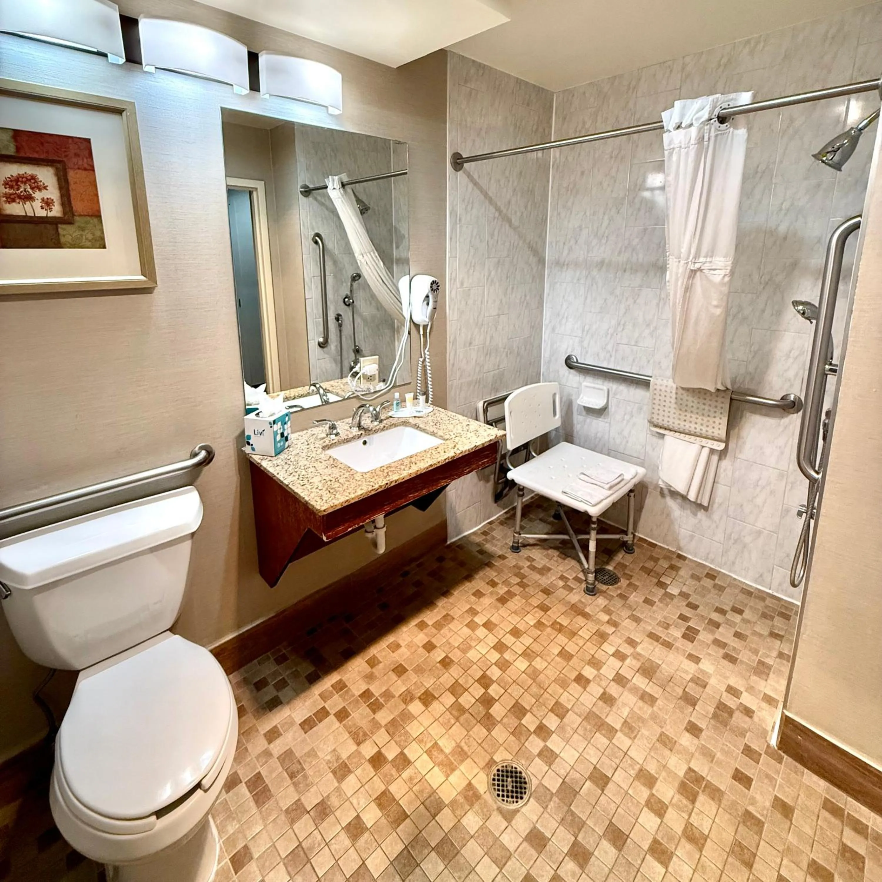 King Room - Disability Access/Non-Smoking in Ramada by Wyndham Denver International Airport