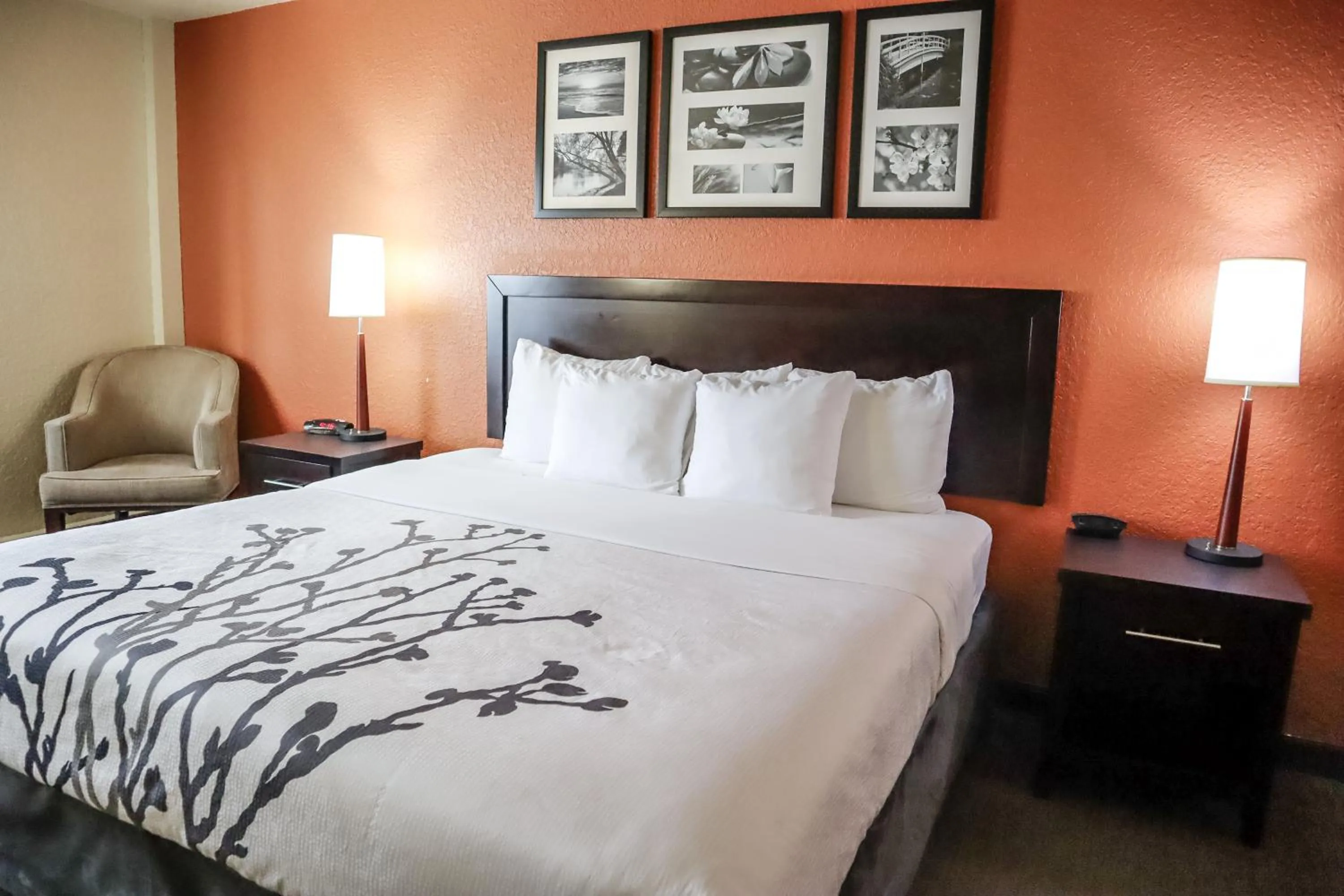 King Suite - Accessible/Non-Smoking in Sleep Inn & Suites Ocala