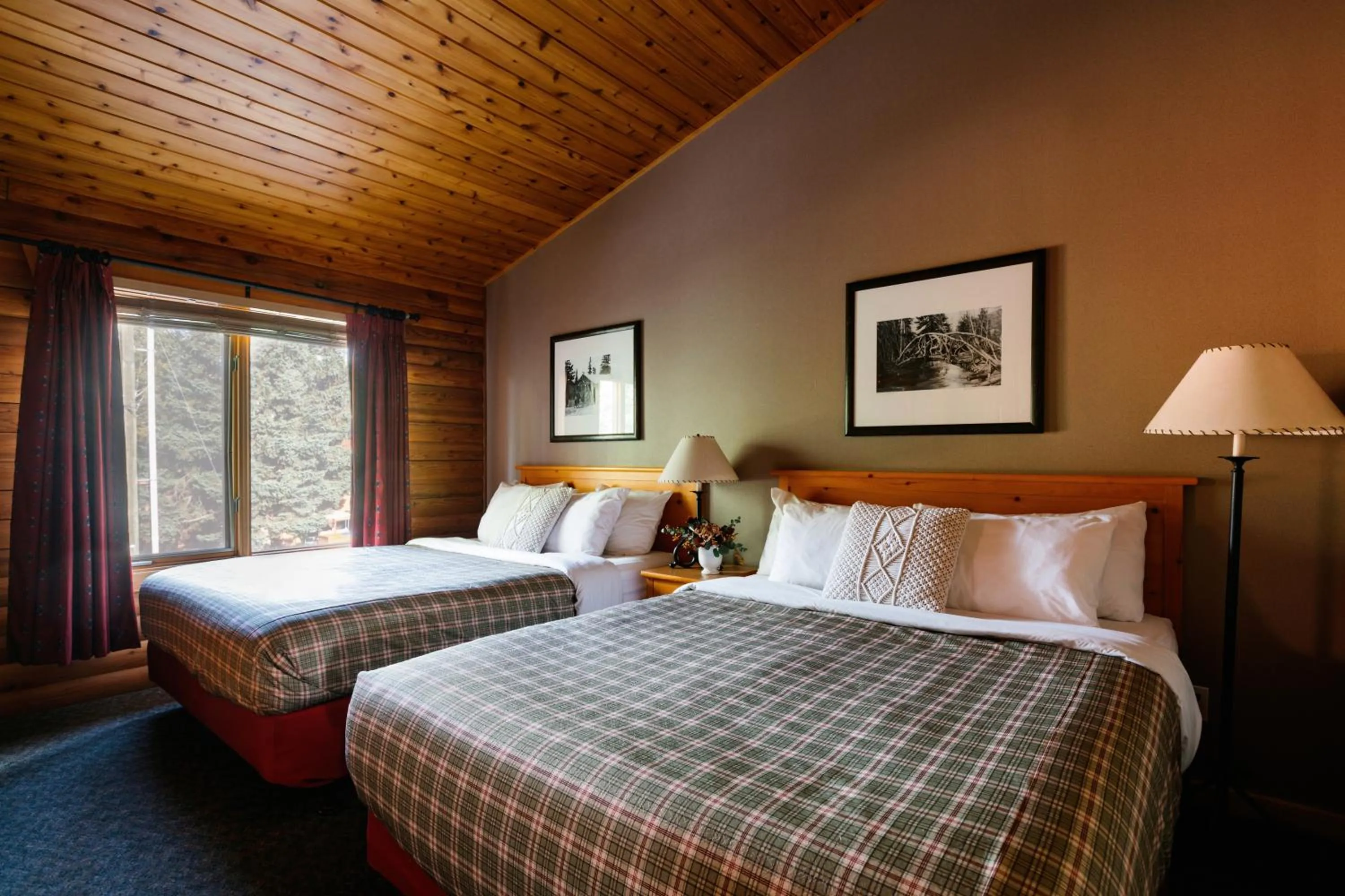 Cedar Lodge Suite - 3 Queens with Sofa in Miette Mountain Cabins