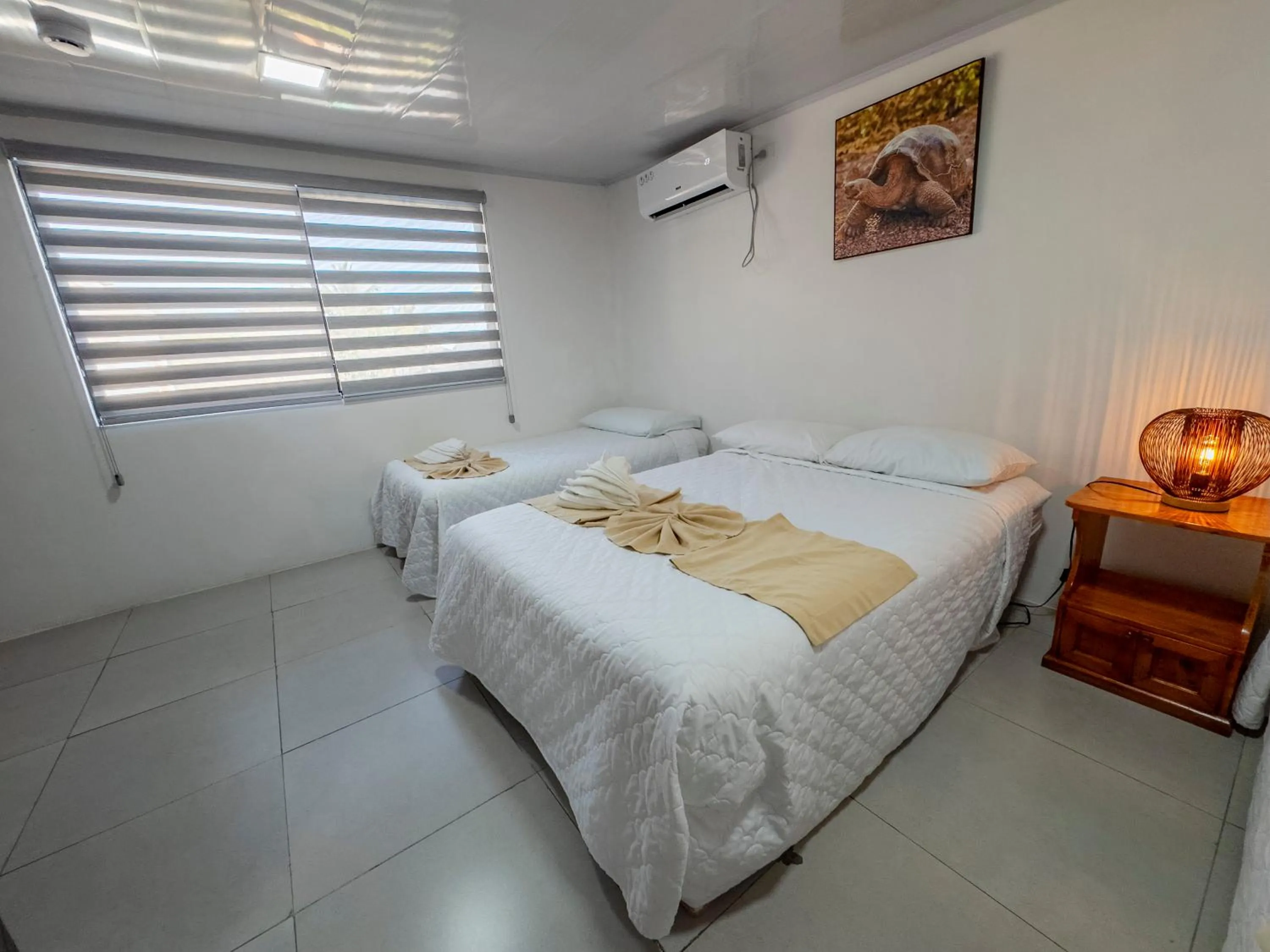 King Room - single occupancy in Galapagos Dreams