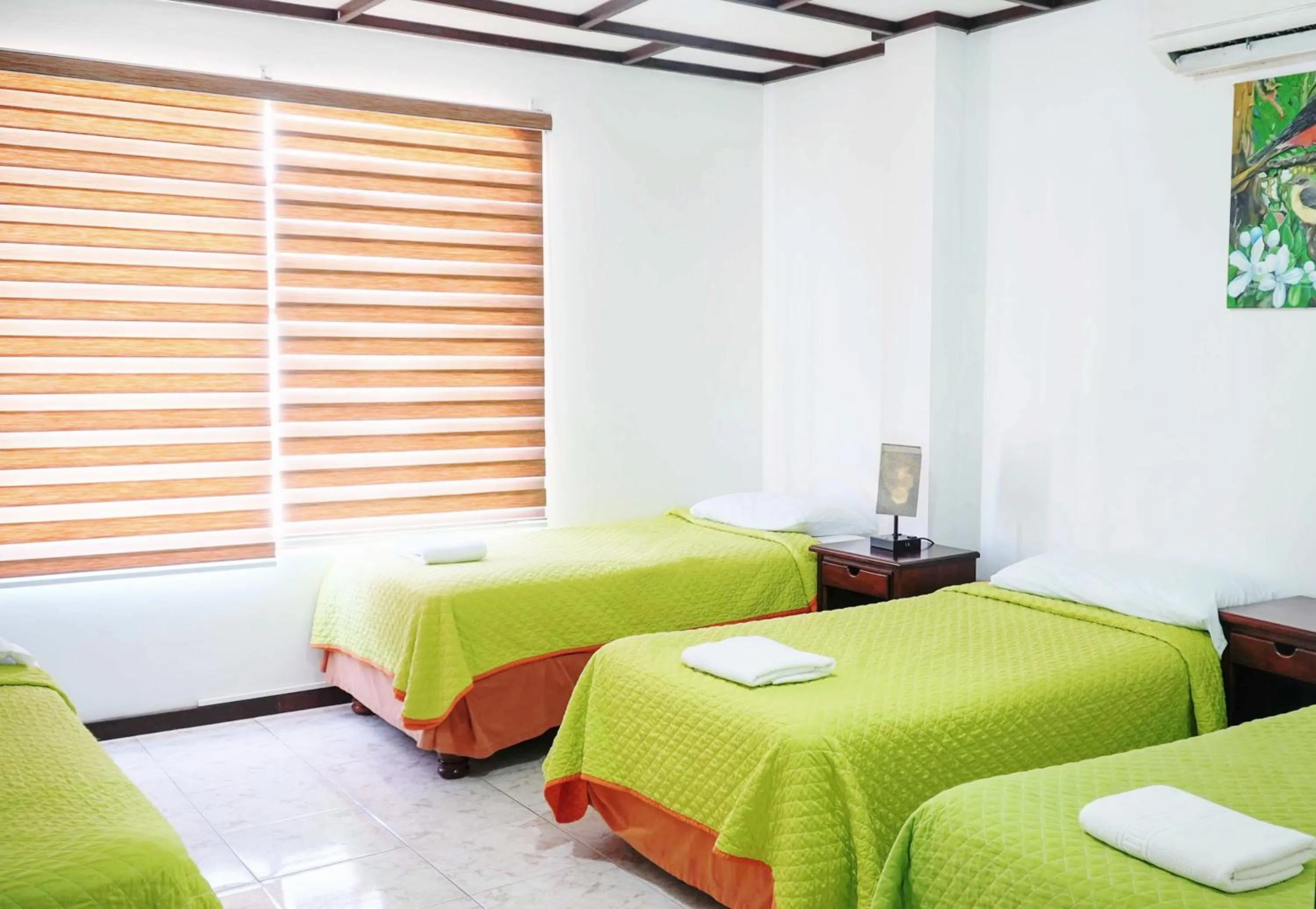 Quadruple Room in Galapagos Dreams