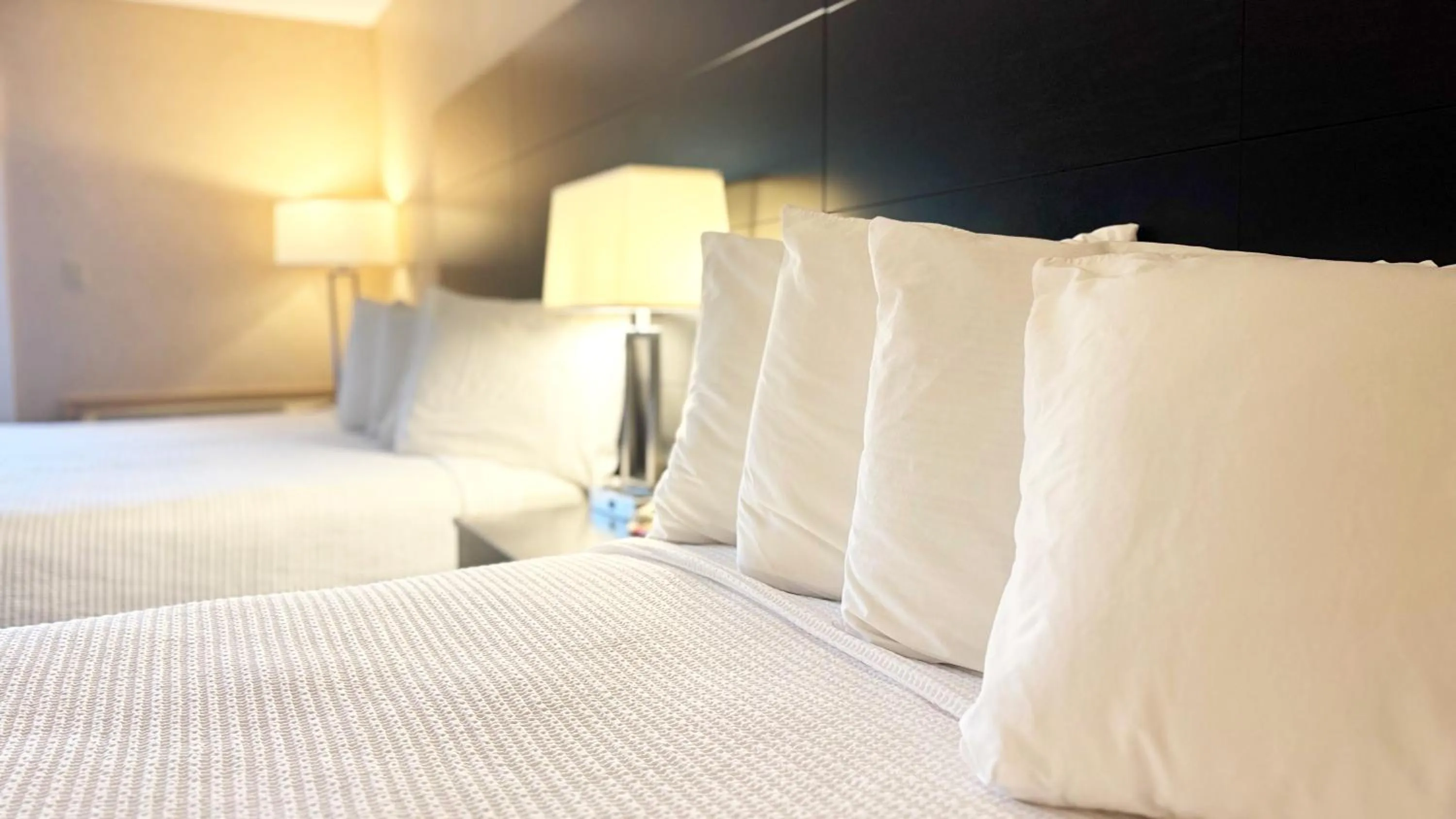 Notch View Room (Located across the street from the main resort) in Indian Head Resort