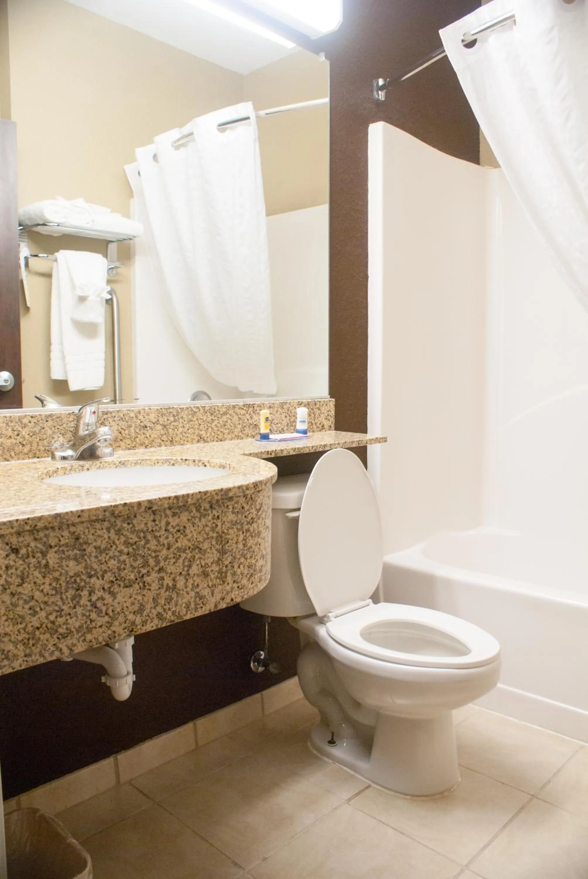 Deluxe Queen Room with Bath Tub - Mobility/Hearing Accessible - Non-Smoking in Microtel Inn & Suites by Wyndham Jacksonville Airport