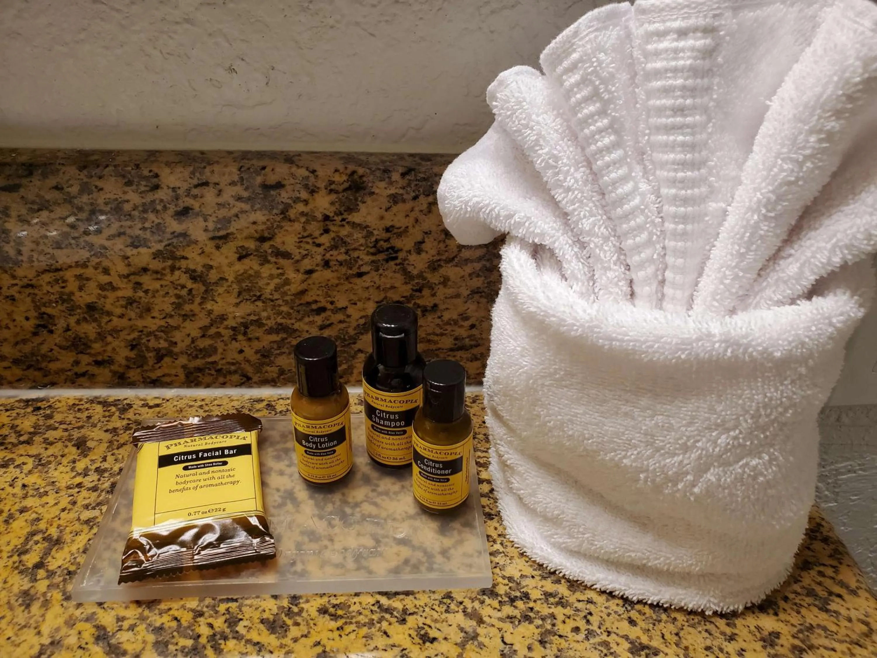 King Room - Non-Smoking in Best Western Plus Milwaukee Airport Hotel & Conference Center