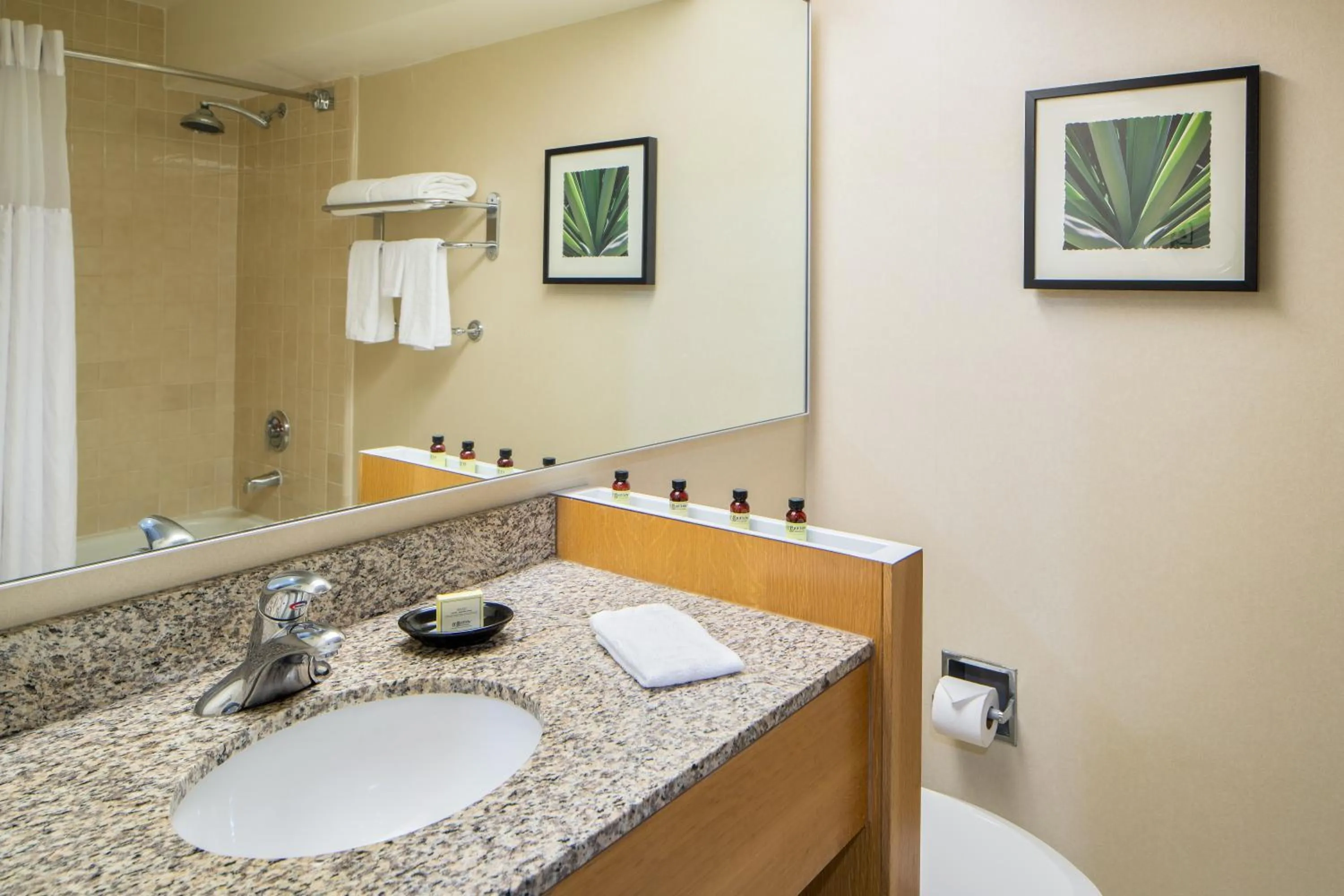 Deluxe Room Two Queens in The Domain Hotel